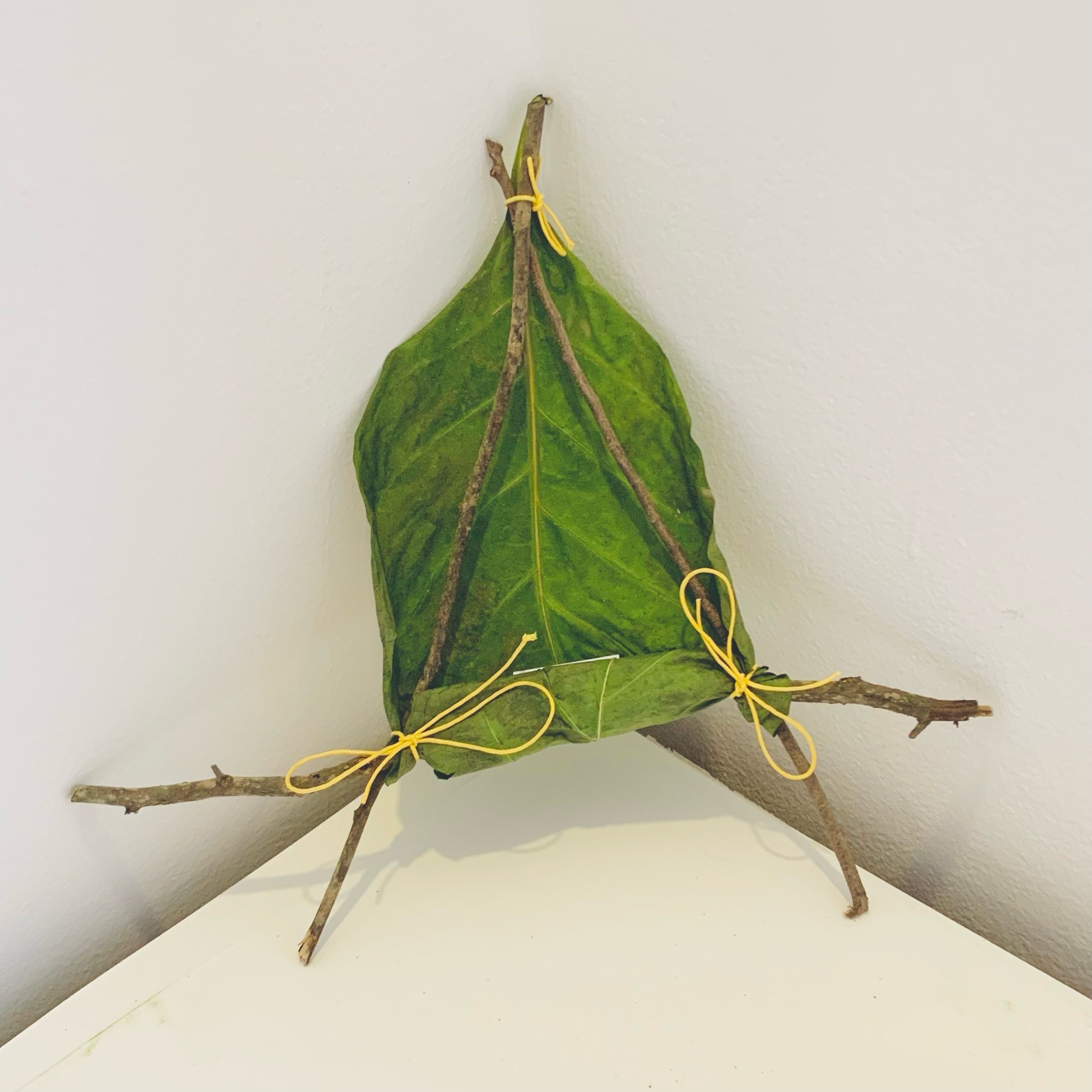  Kavanayén. Holy Triangle. 2025  Tree branches, a leave and cord 9 × 12 in 23 × 30 cm 