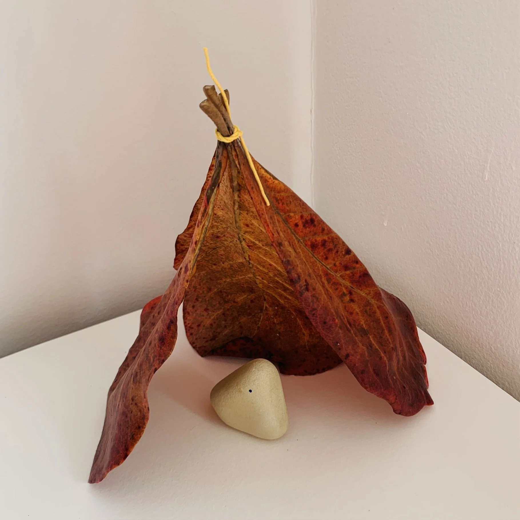  Kavanayén. Shelter. 2025  Tree leaves, cord and local rock 15 × 15 in 6 × 6 cm 