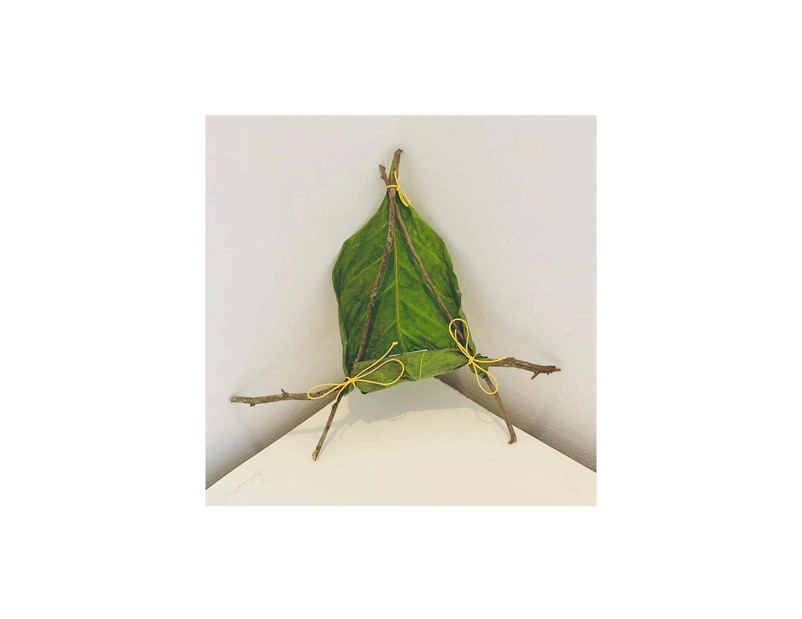  Kavanayén. Holy Triangle. 2025  Tree branches, a leave and cord 9 × 12 in 23 × 30 cm 