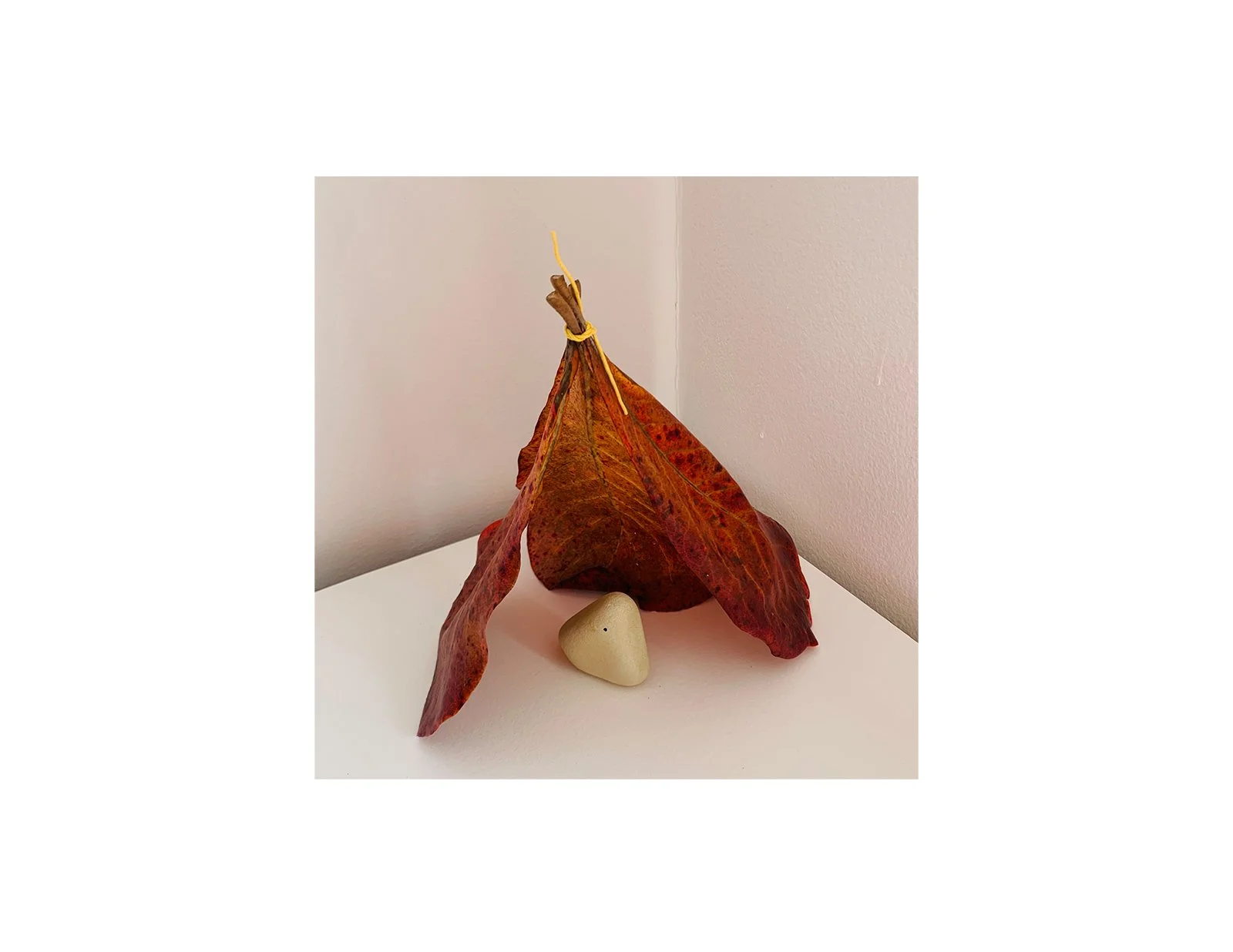  Kavanayén. Shelter. 2025  Tree leaves, cord and local rock 15 × 15 in 6 × 6 cm 