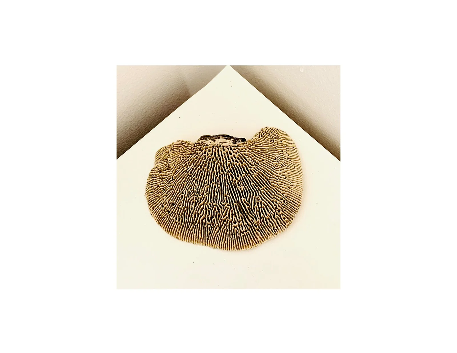  Kavanayén. Baby. 2025  Local rock and gouache 3 × 3 in 7.6 × 7.6 cm 