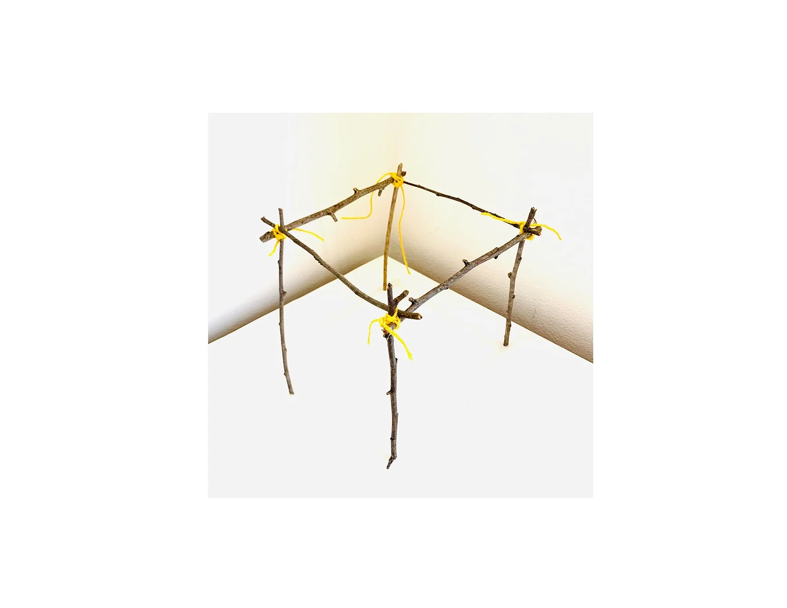  Kavanayén. Table / Mesa. 2025  Tree branches, a leave and cord 9 × 12 in 23 × 30 cm 