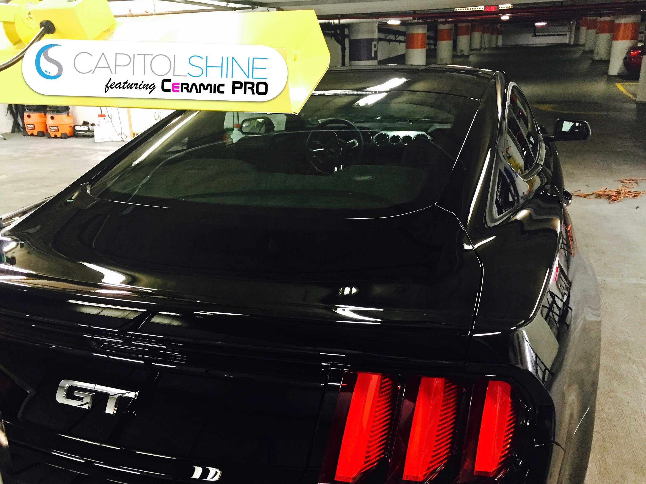 Protection From Rock Chips — Capitol Shine Washington DC Paint Protection  Film and Ceramic Coatings