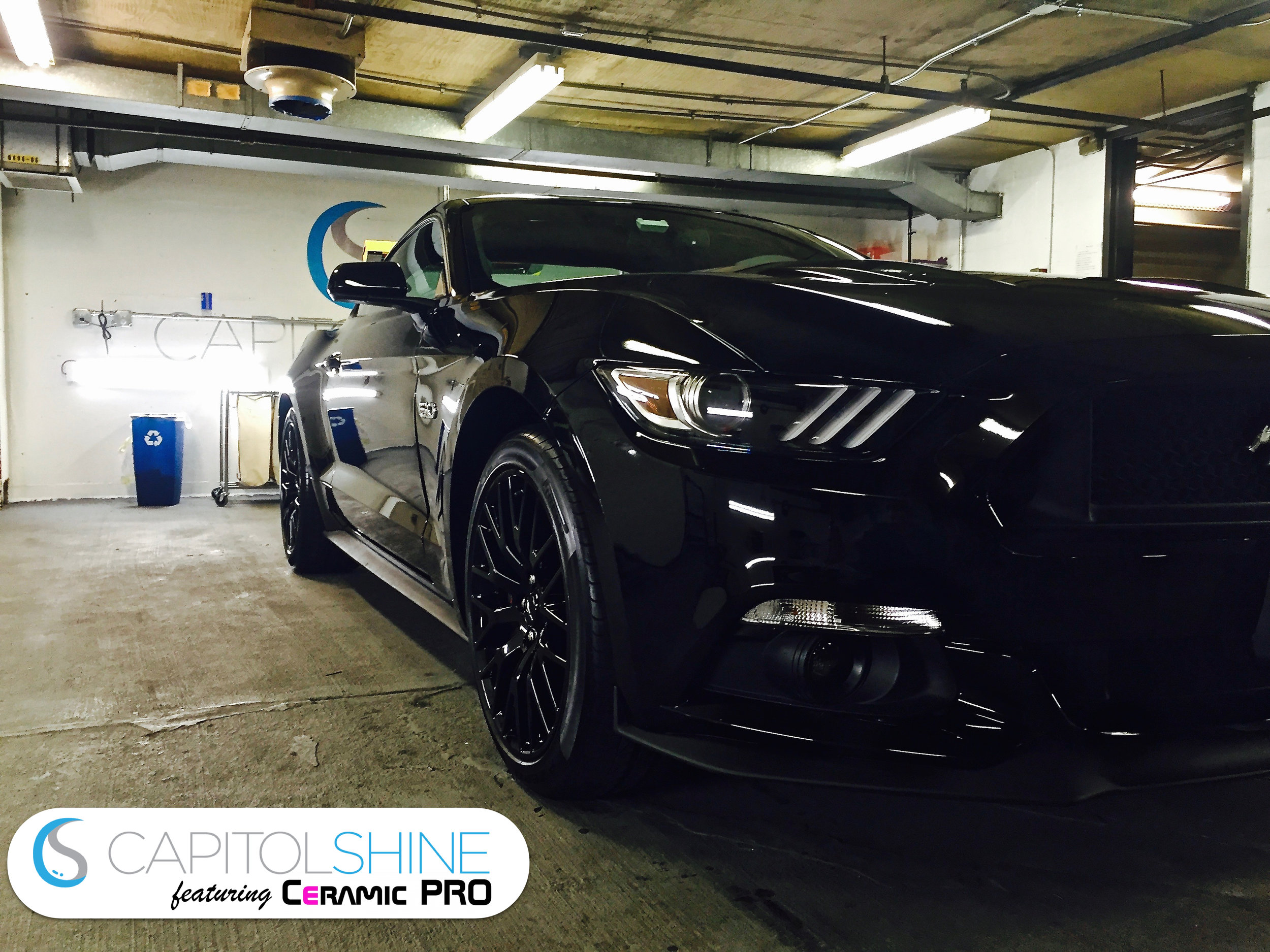 Protection From Rock Chips — Capitol Shine Washington DC Paint Protection  Film and Ceramic Coatings