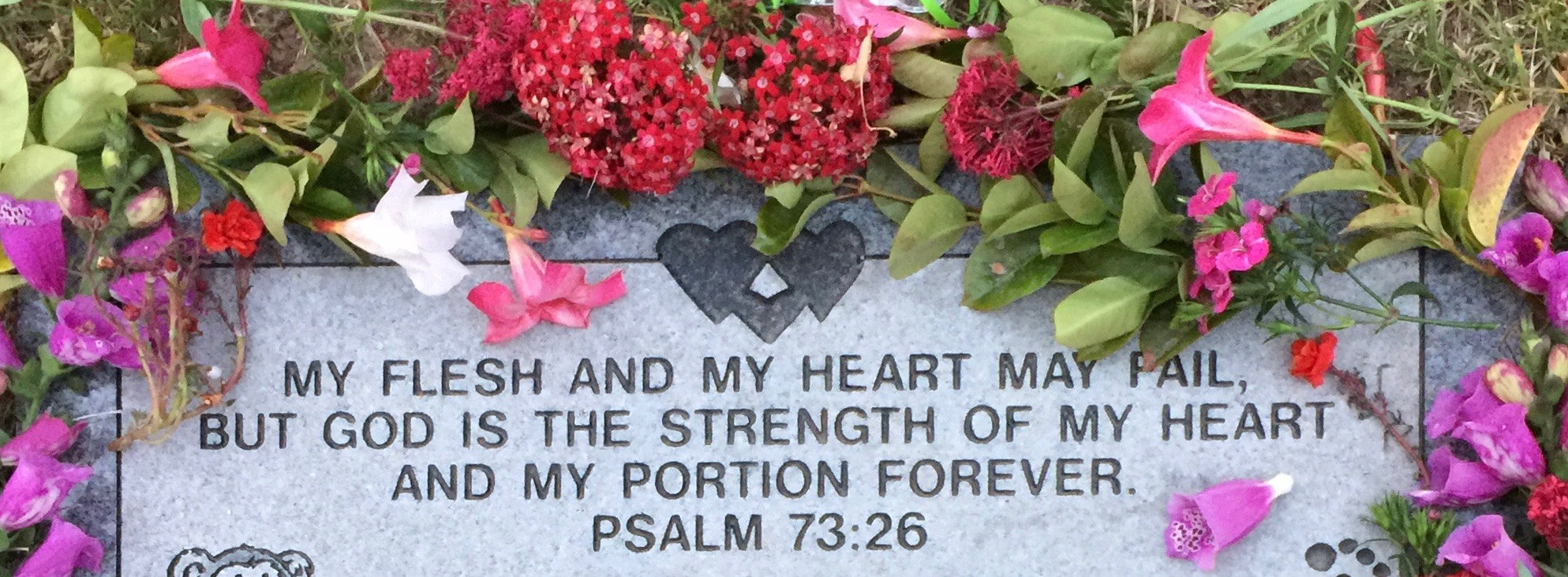 isbi_fullxfull.1412099723_oyi8w4gv.jpg