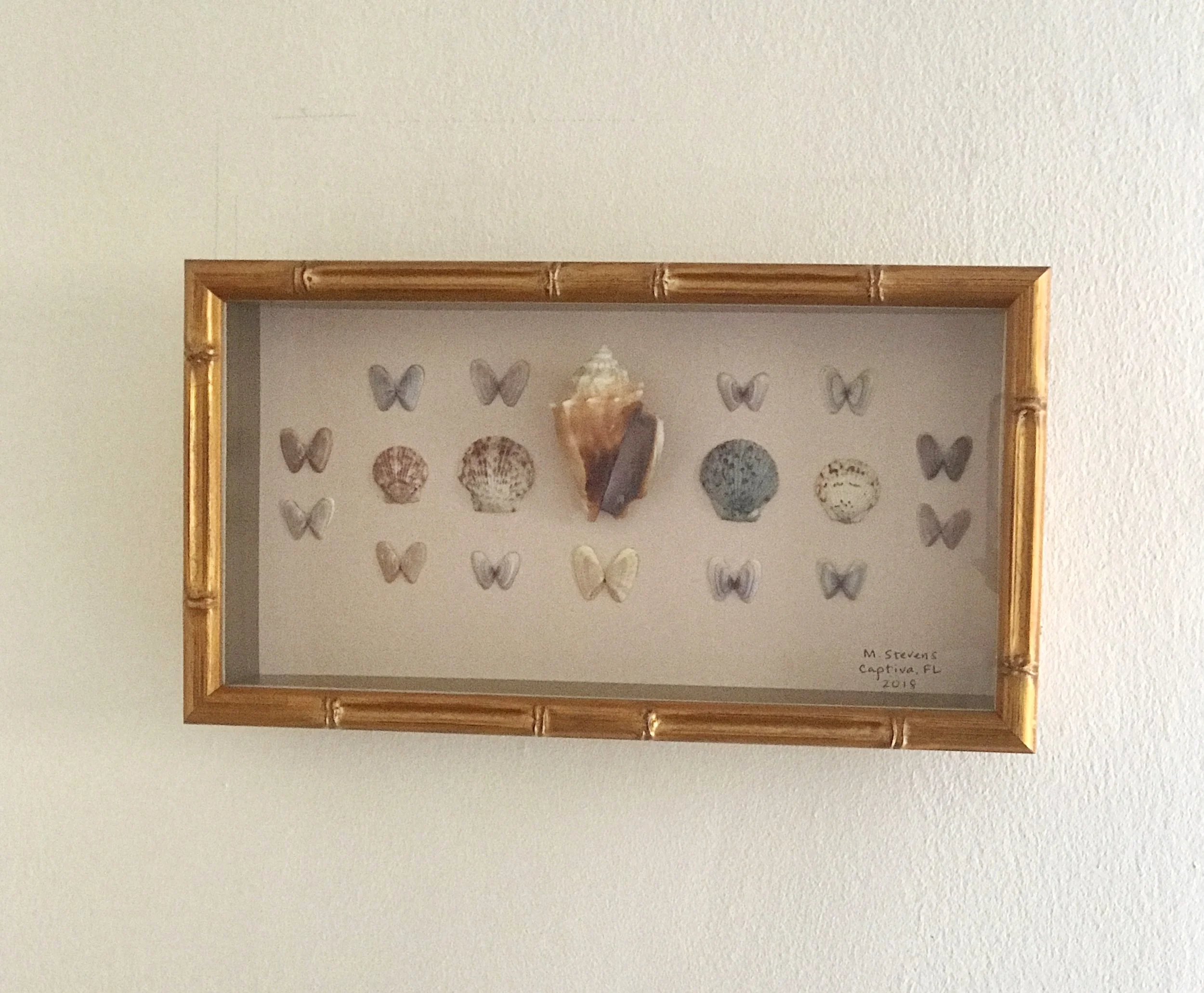 conch.jpg