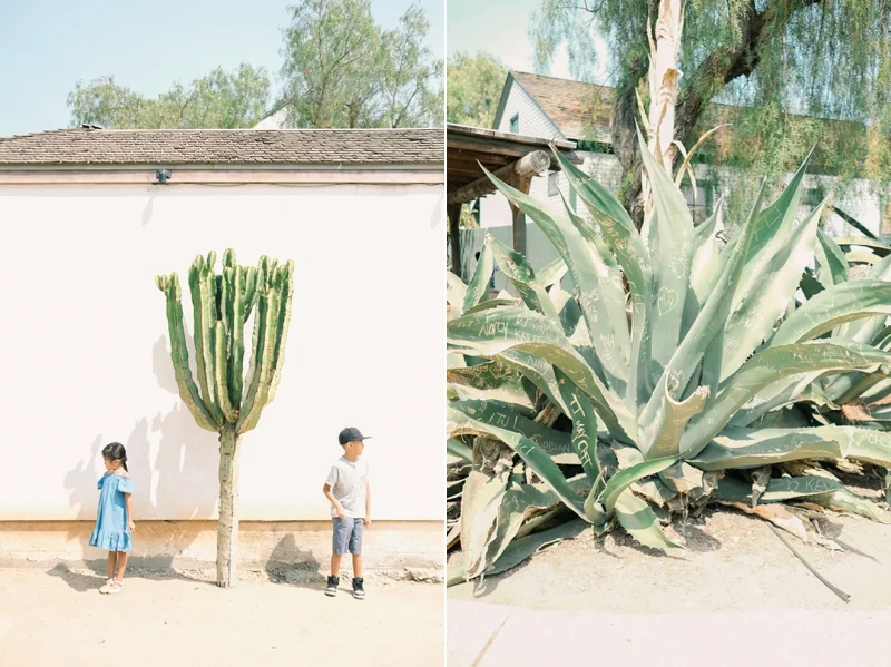 iFloyd_Photography_Fine_Art_Family_Vacation_Photo_San_Diego_0003.jpg