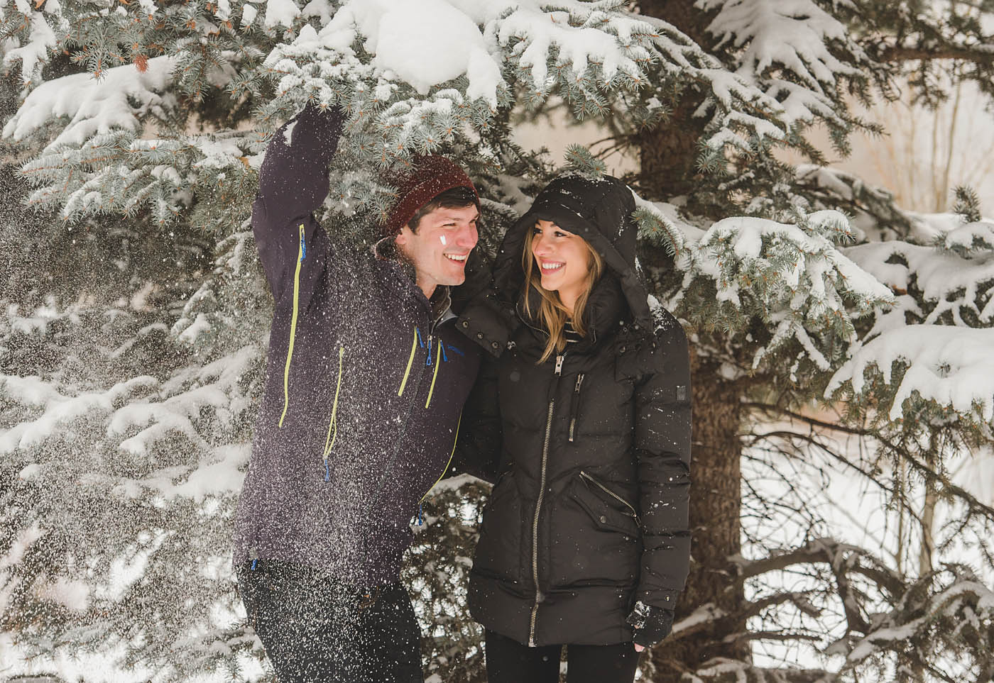 snow-under-the-tree.jpg