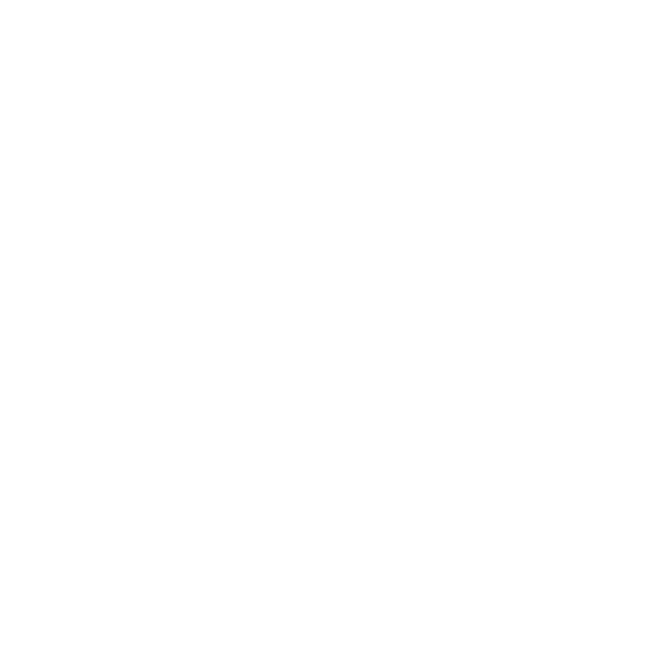 mountainlogo-white-small.png