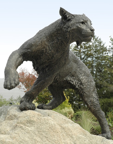 University of New Hampshire Wildcat