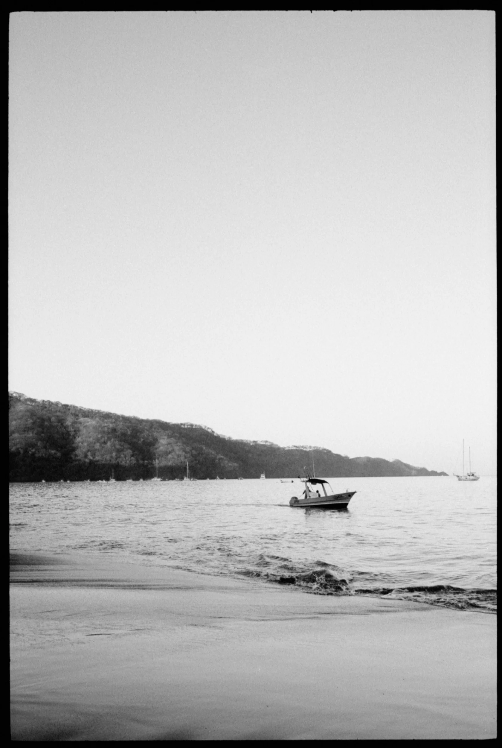TriX800a_012519_018.jpg