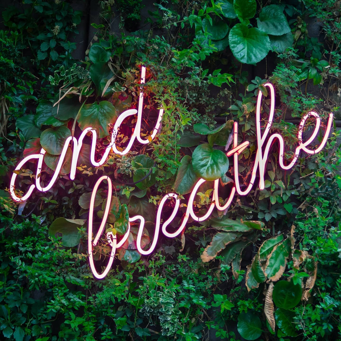 Catch your breath and breathe deeply, it's the weekend and time to slow your schedule down.

Do you have a weekend tradition that helps you to relax? For me I like a disco clean... I know I sound mad but at the end of a week my house looks such a mes