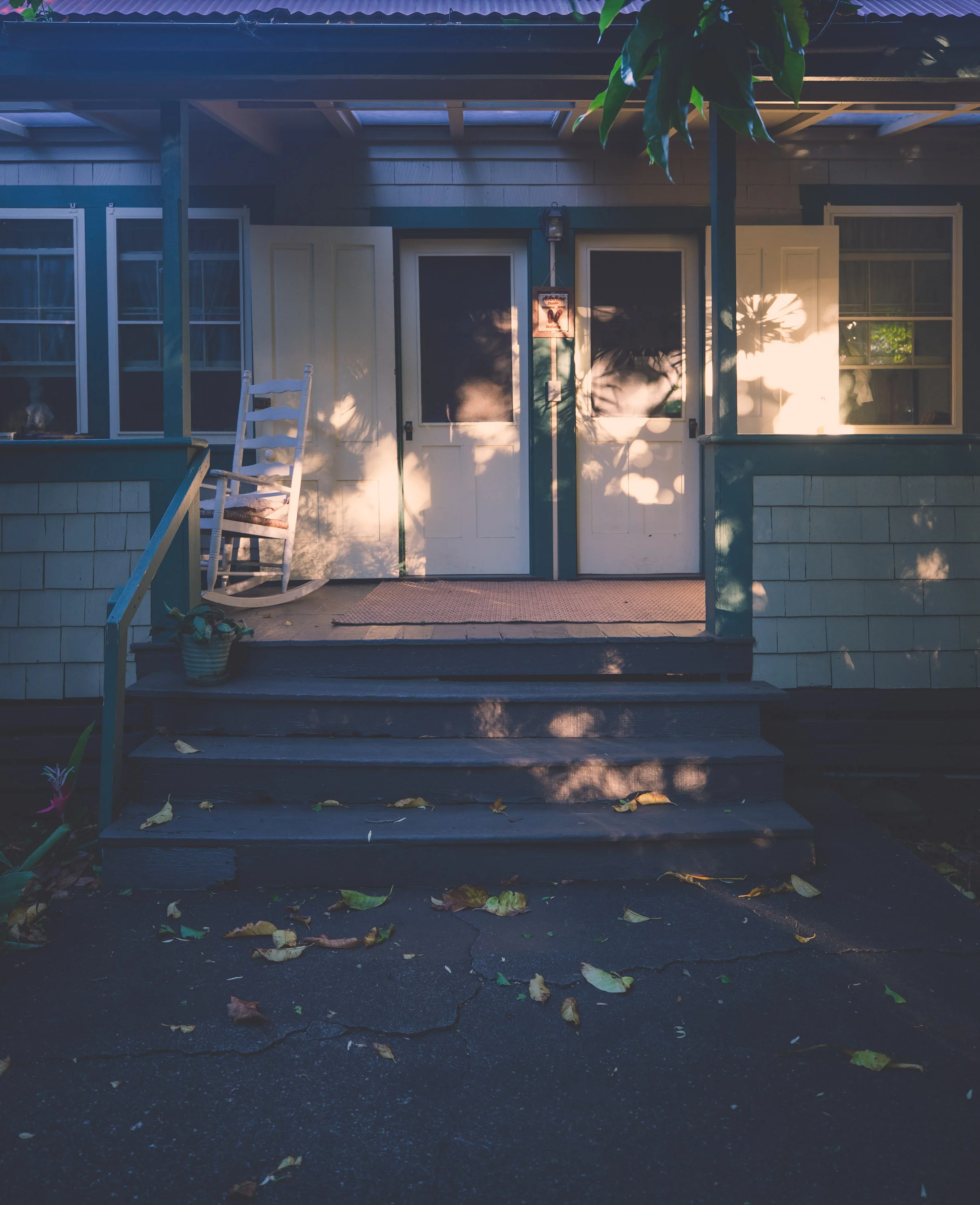 20181104_ARH-4552.jpeg