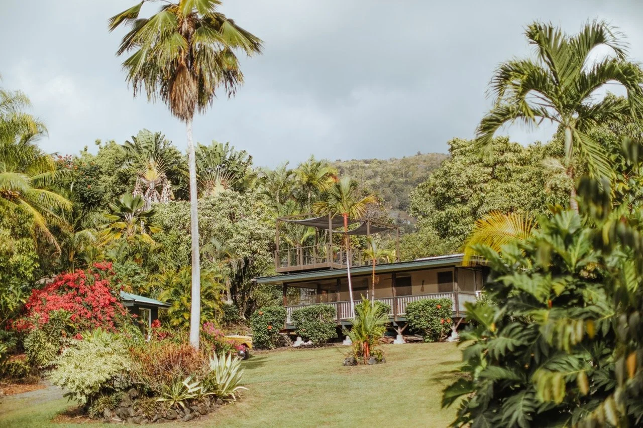 2025_01_12_9999_230 Large.jpeg