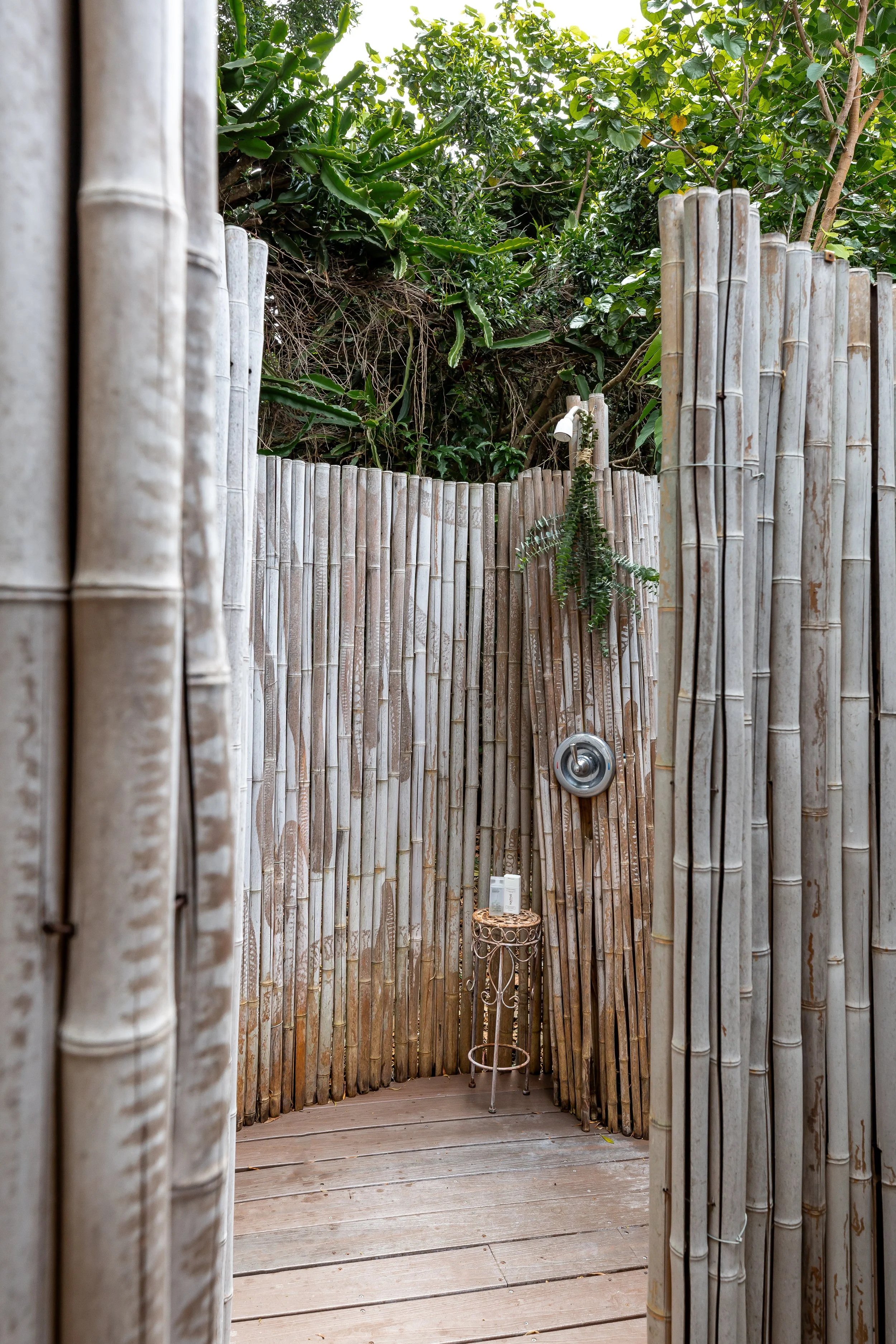 05082026_ThePanioloTinyHome-8.jpg