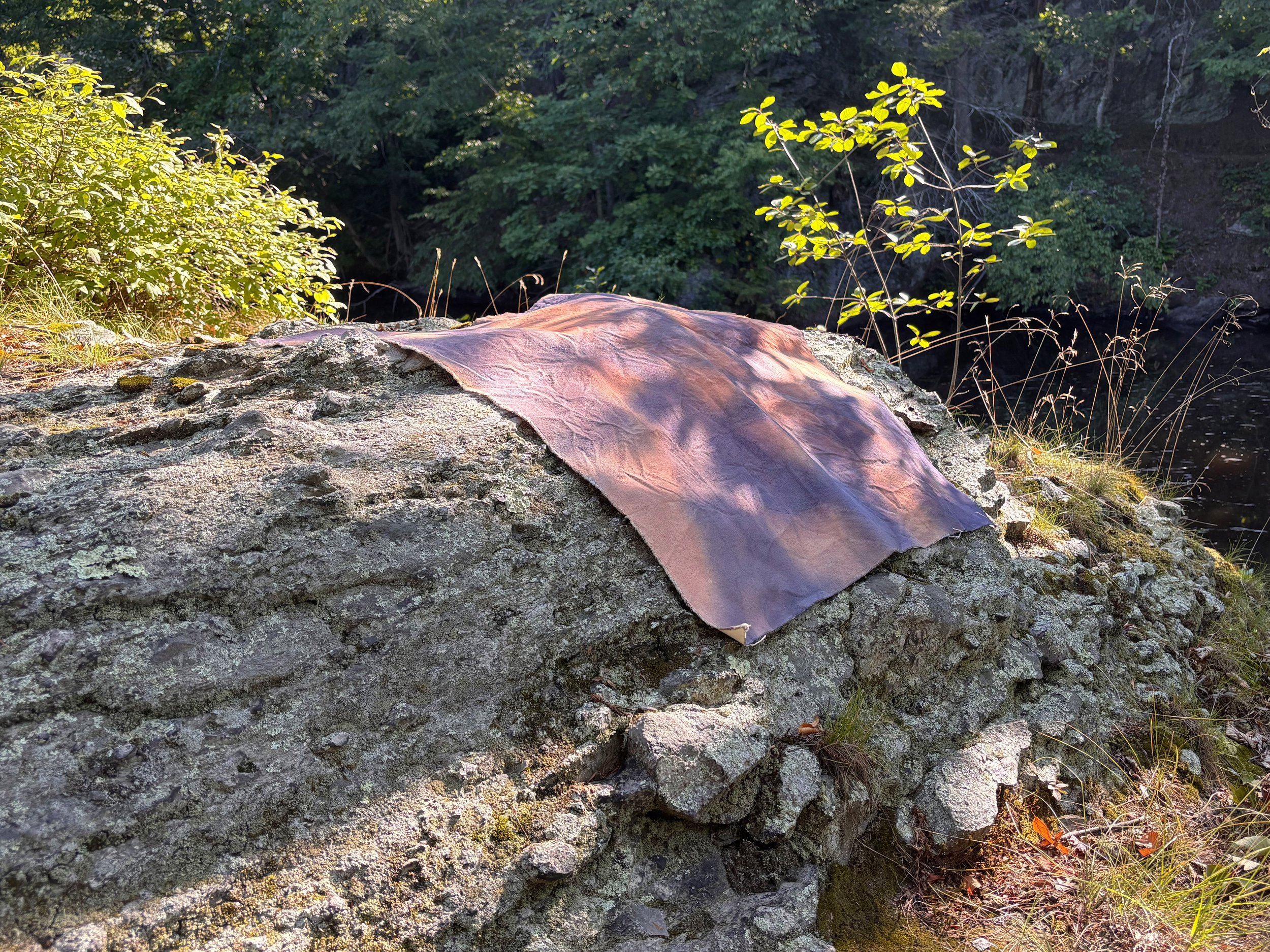 IMG_7067 edit copy.jpg