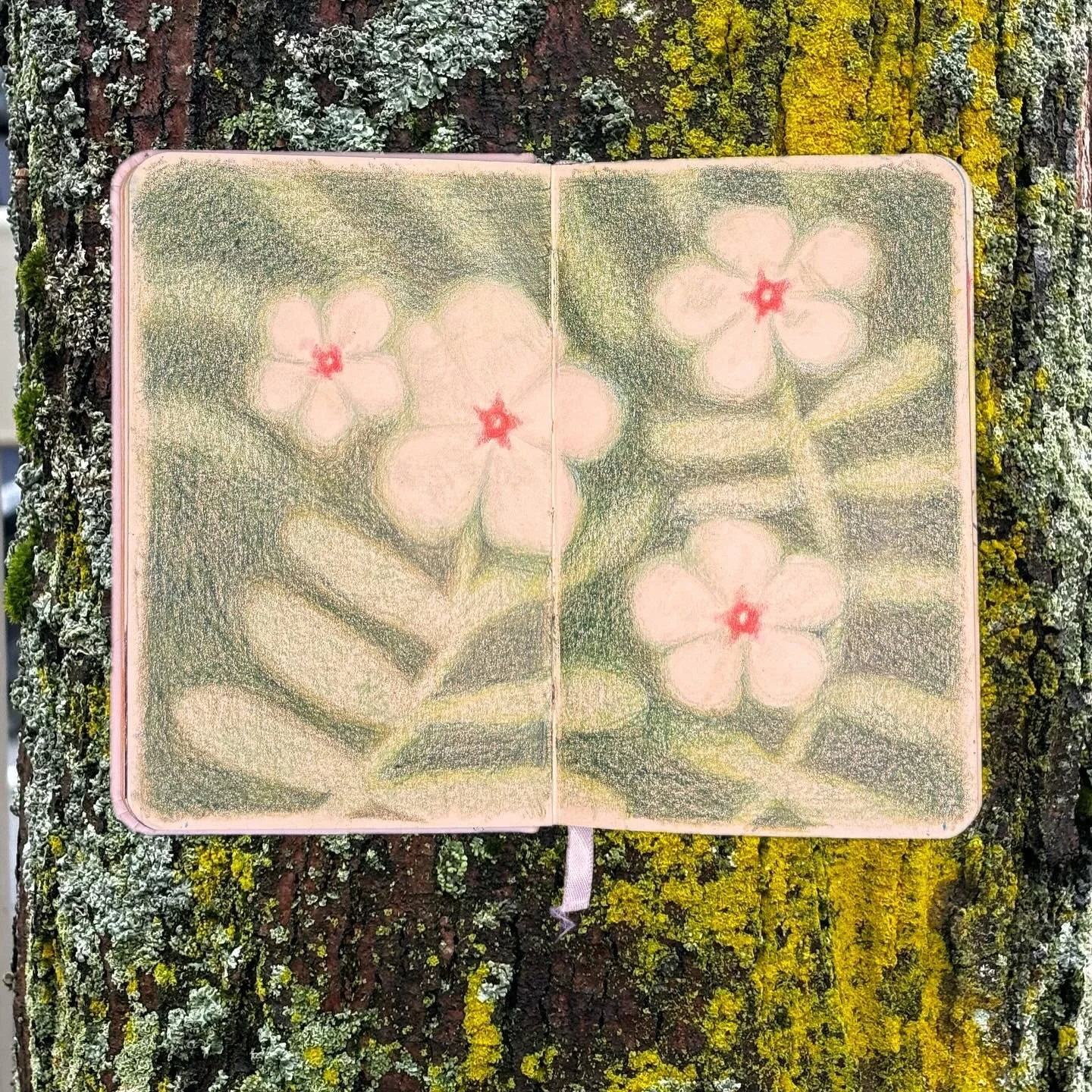 Some favorite pages from this summers mini sketchbook
1. Some hazy fuzzy flowers
2. A study of Van Gogh&rsquo;s &ldquo;undergrowth with two figures&rdquo;
3. Daisy in magenta ink
4. The sky at 4th of July fireworks 
5. Beans surrounded by his pompom 