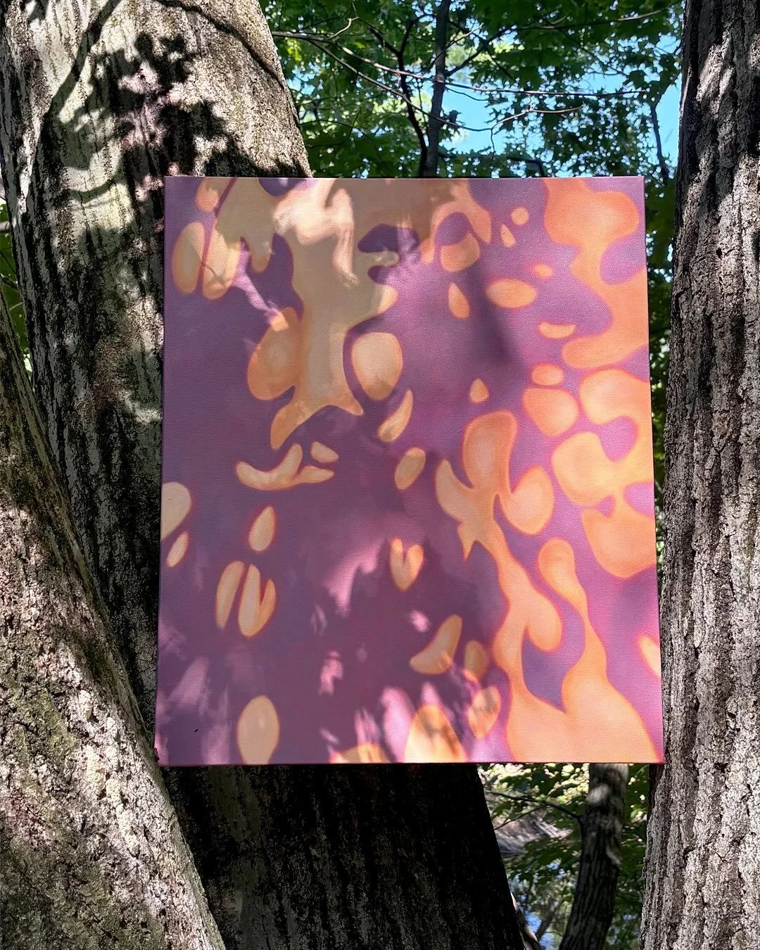 Experiments in light and color ✨ I&rsquo;m proud of my three babies and will be starting a new one soon