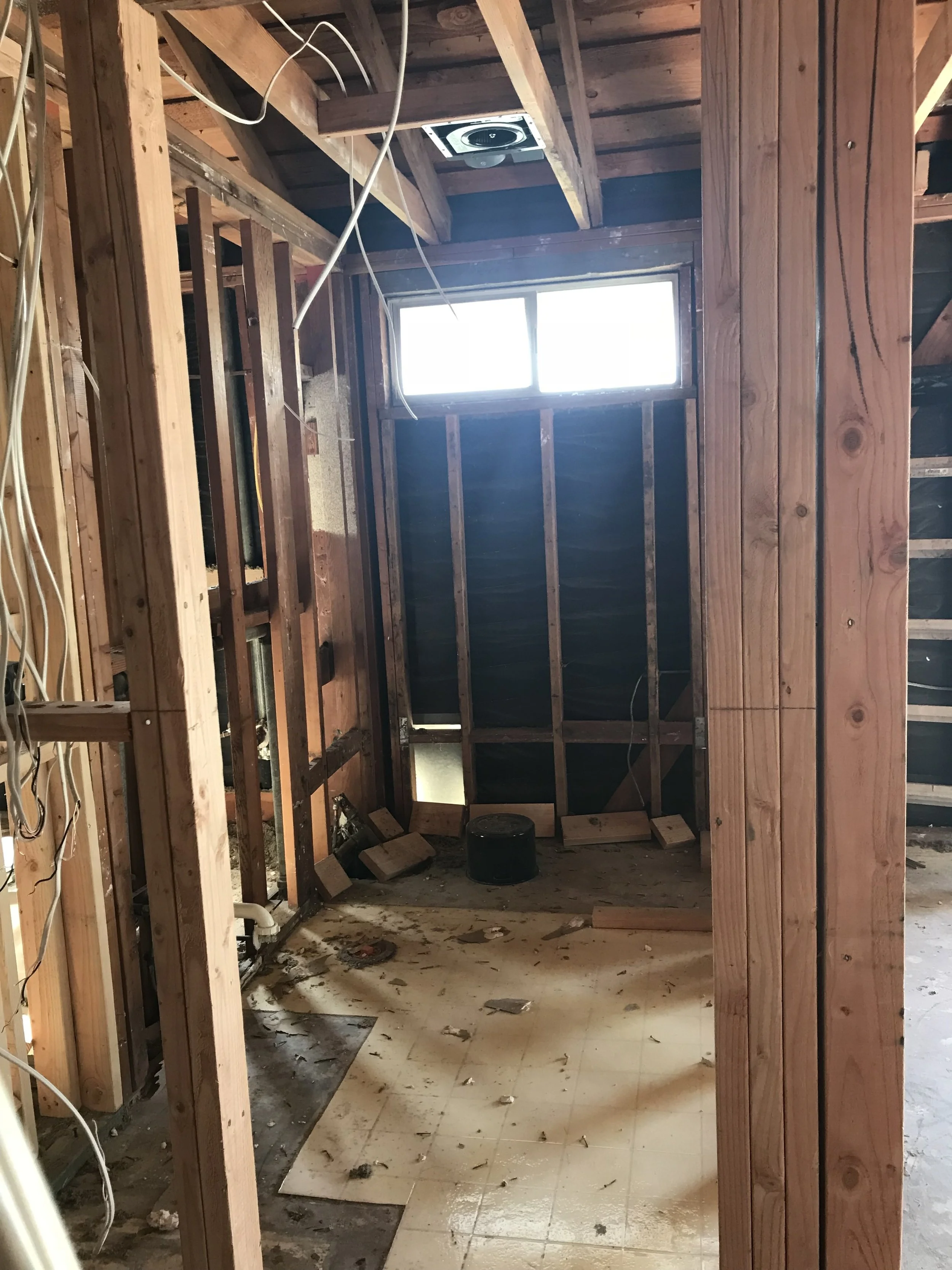 Guest Bathroom - Framing