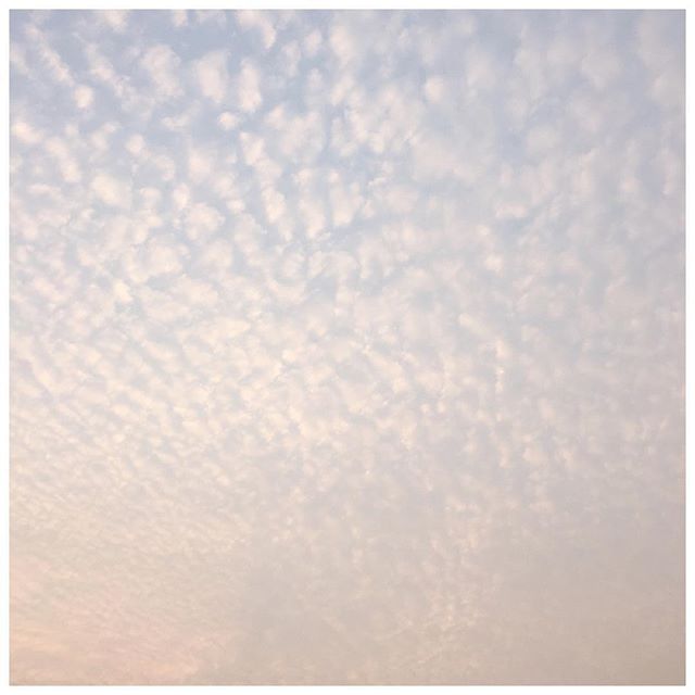 A beautiful sky for my new nieces and nephew; Lennon Lake, Isla Em, Roe Arthur. I am the proudest auntie of Theo and these gorgeous (little) triplets. Please keep my special sister and brother in law in your thoughts and prayers.
@theoandthetrio ☁️✨