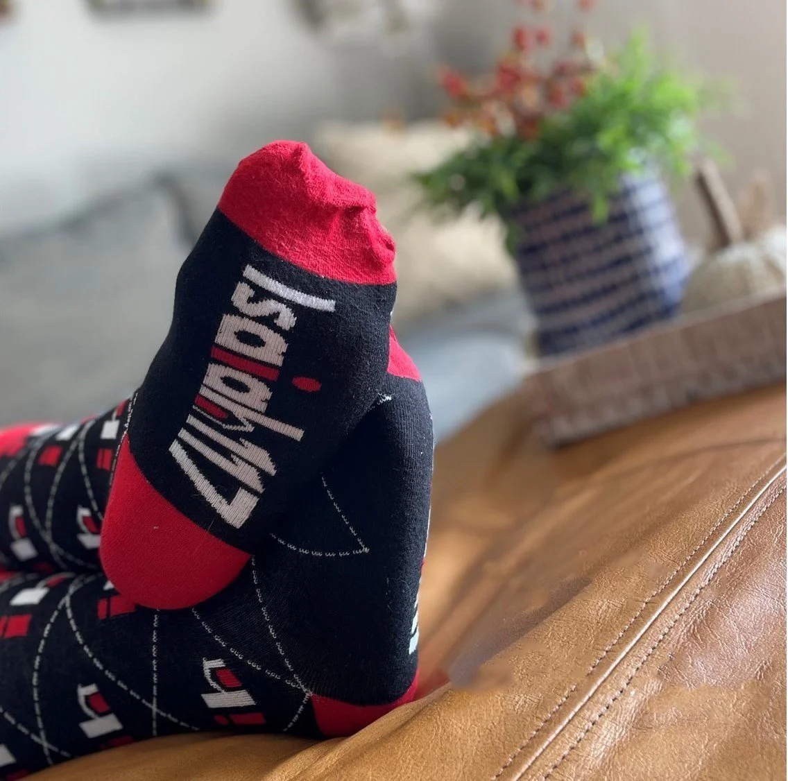 Sock Buddy — Isaiah 117 House