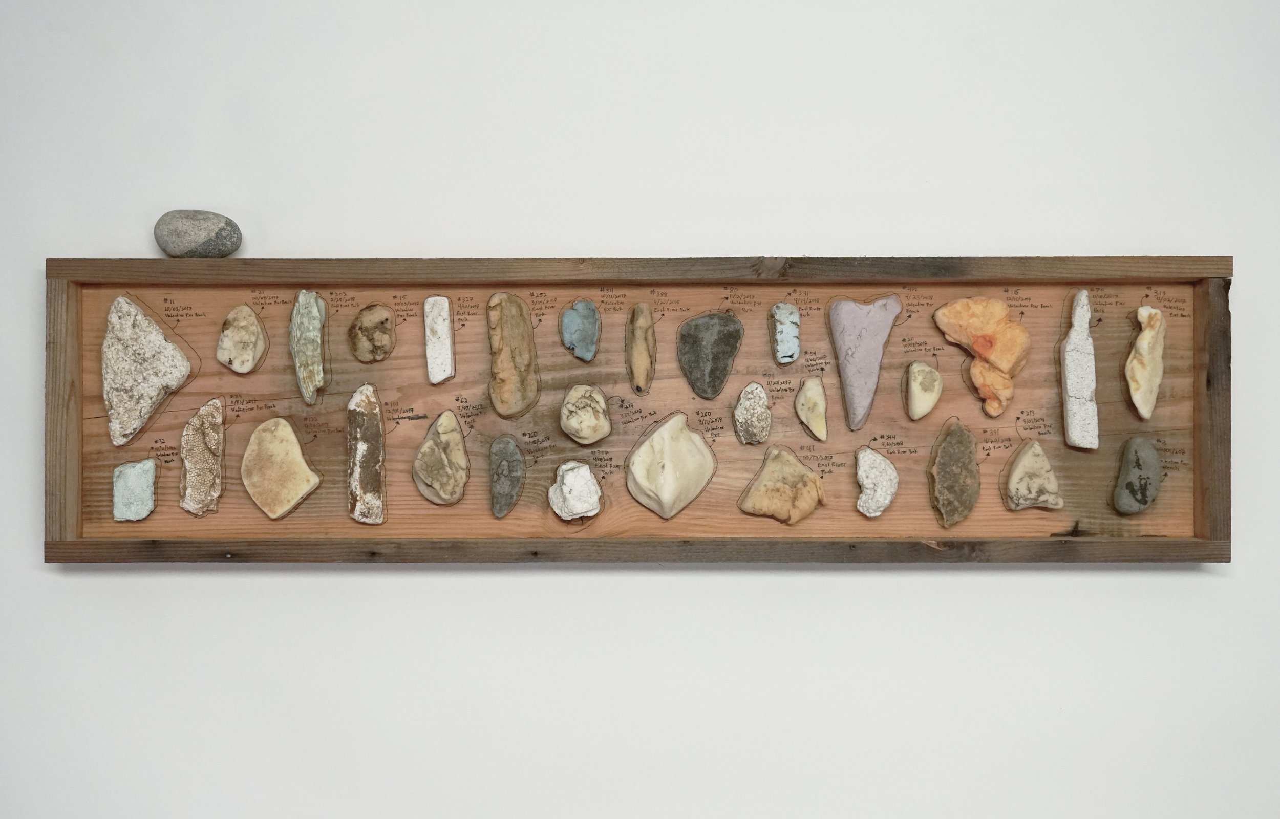 Microcosm taxonomy with a ying yang stone for Lighthouse Works 2018.jpg