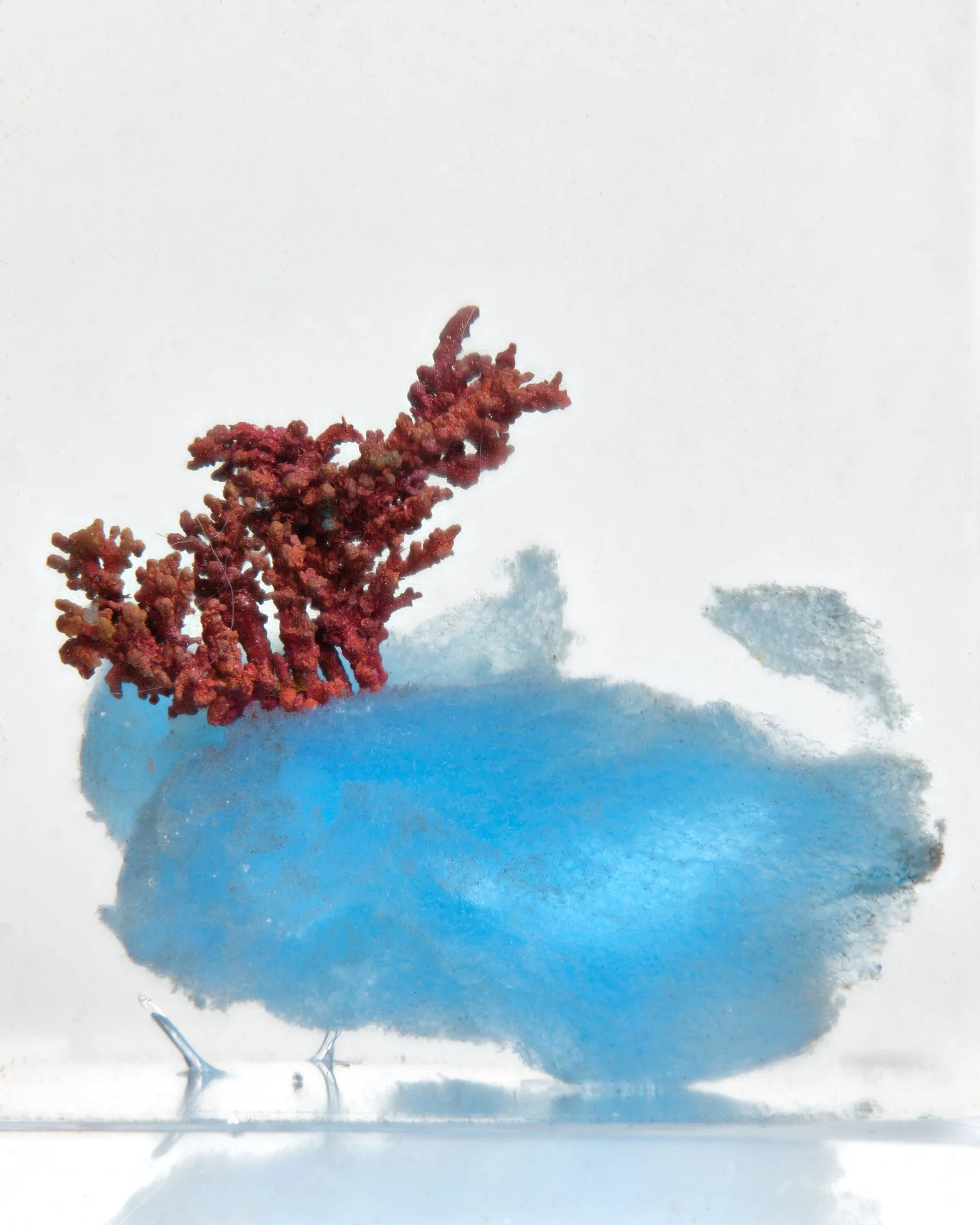 scape7.jpg