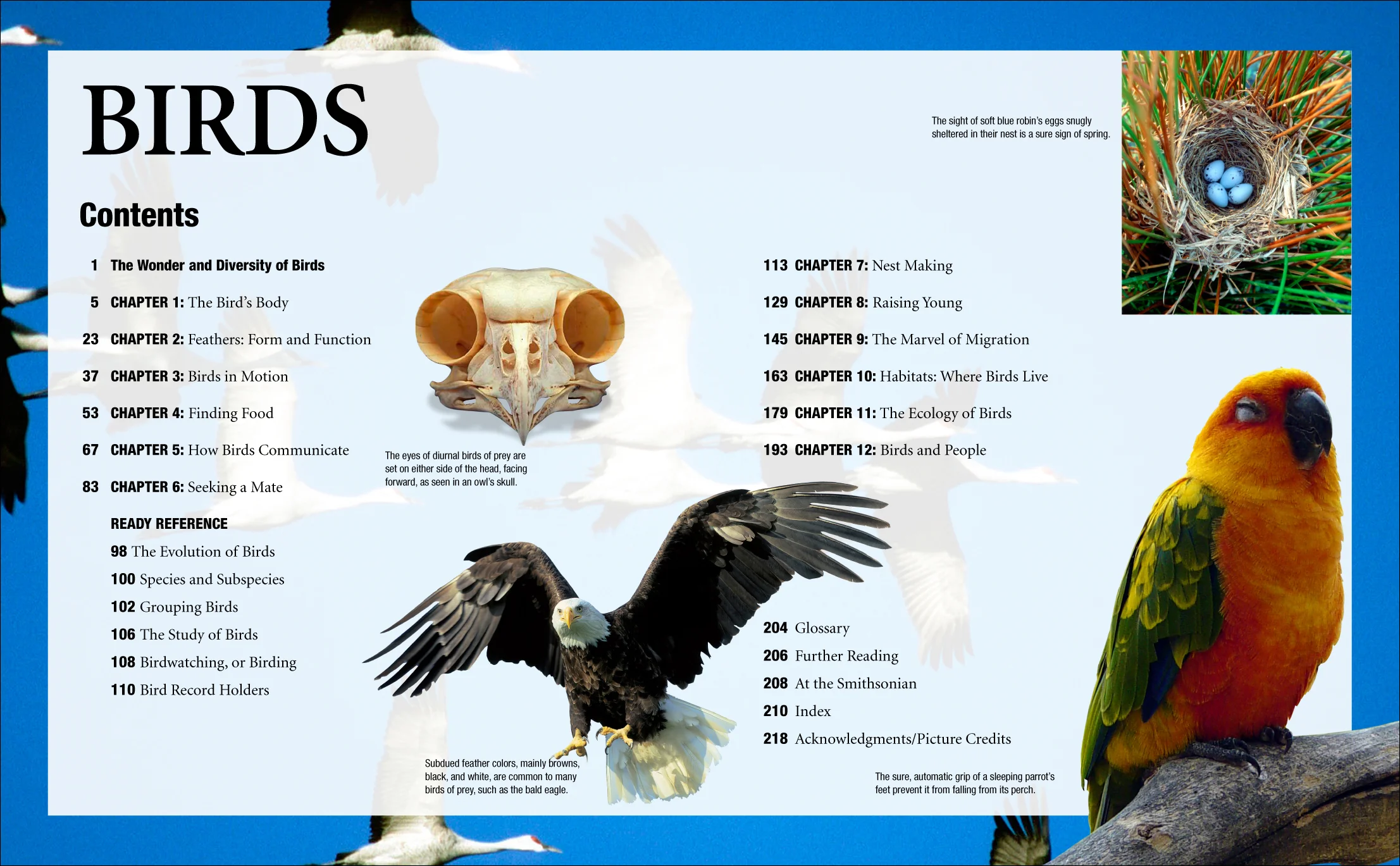 Q_A_Birds_FM_TOC.jpg