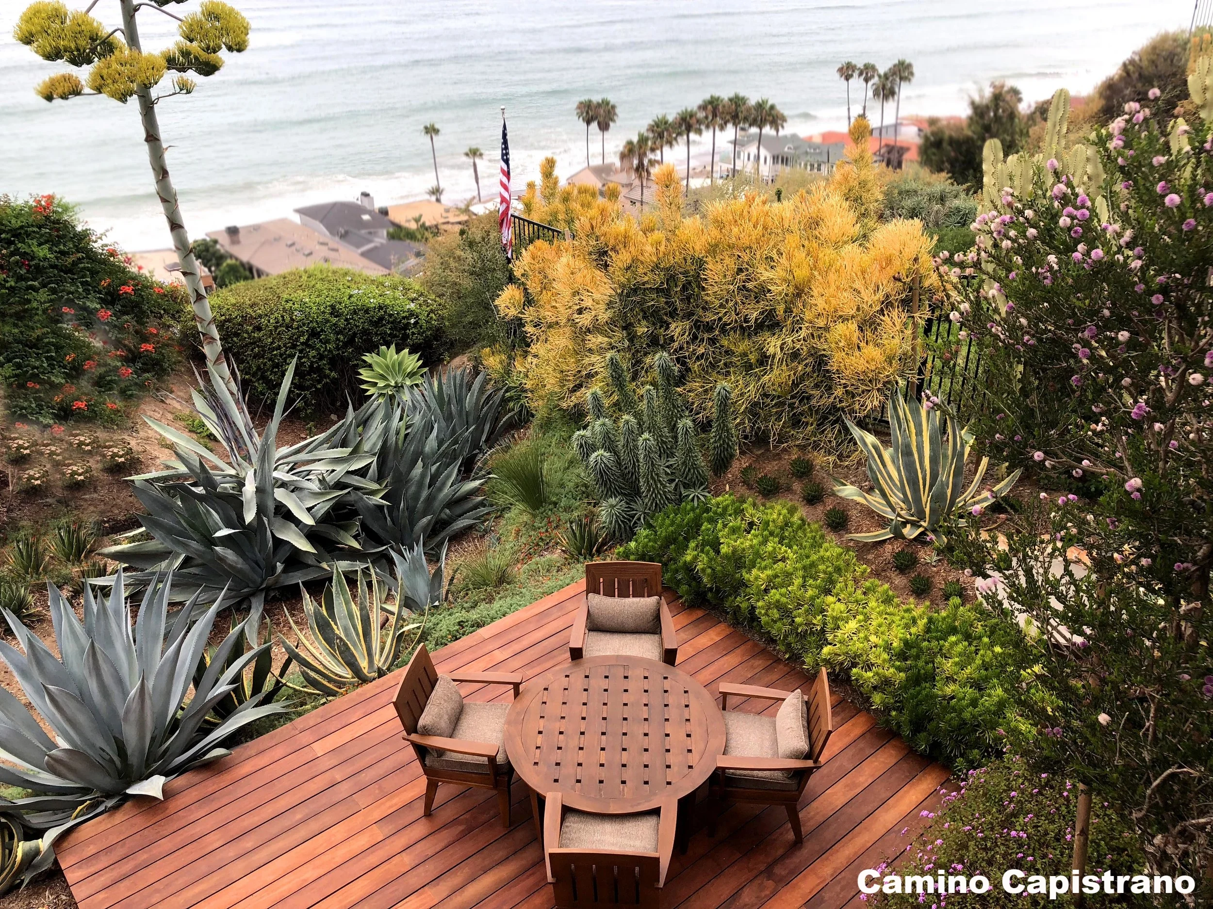 Camino Capistrano-1.jpg