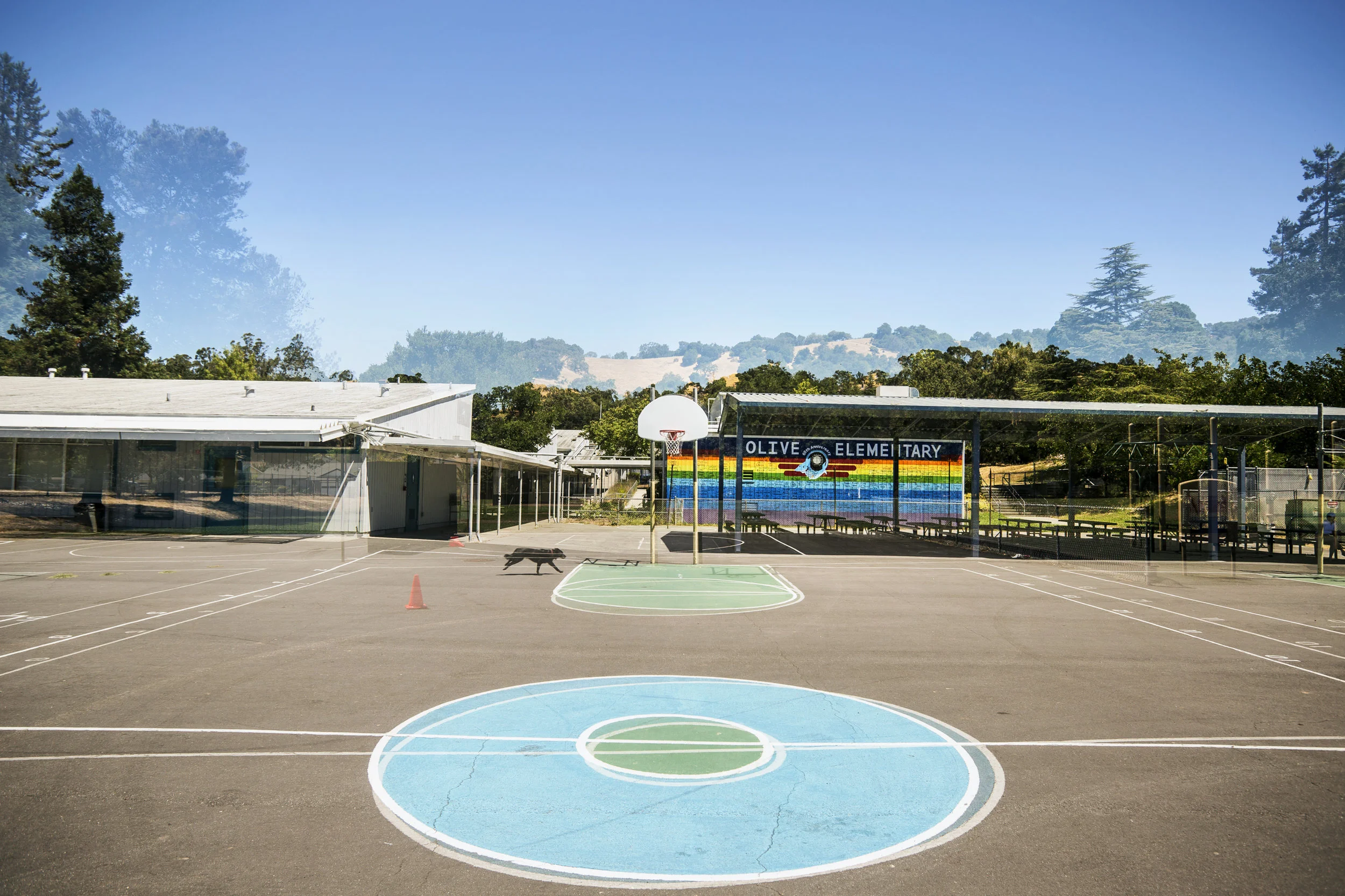 2016 Olive Elementary School, Novato, CA 94945