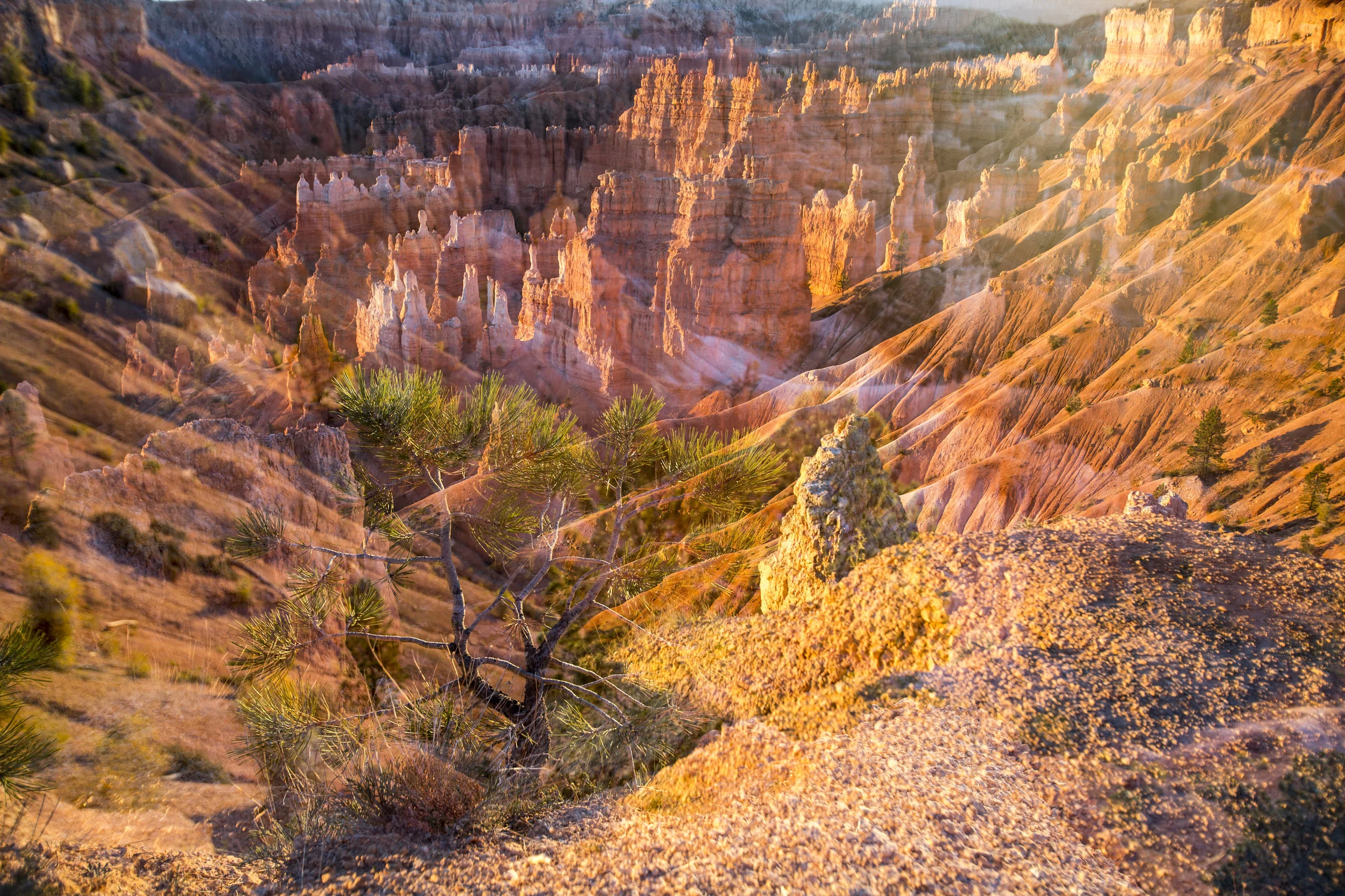 DM7A0293180221.jpg
