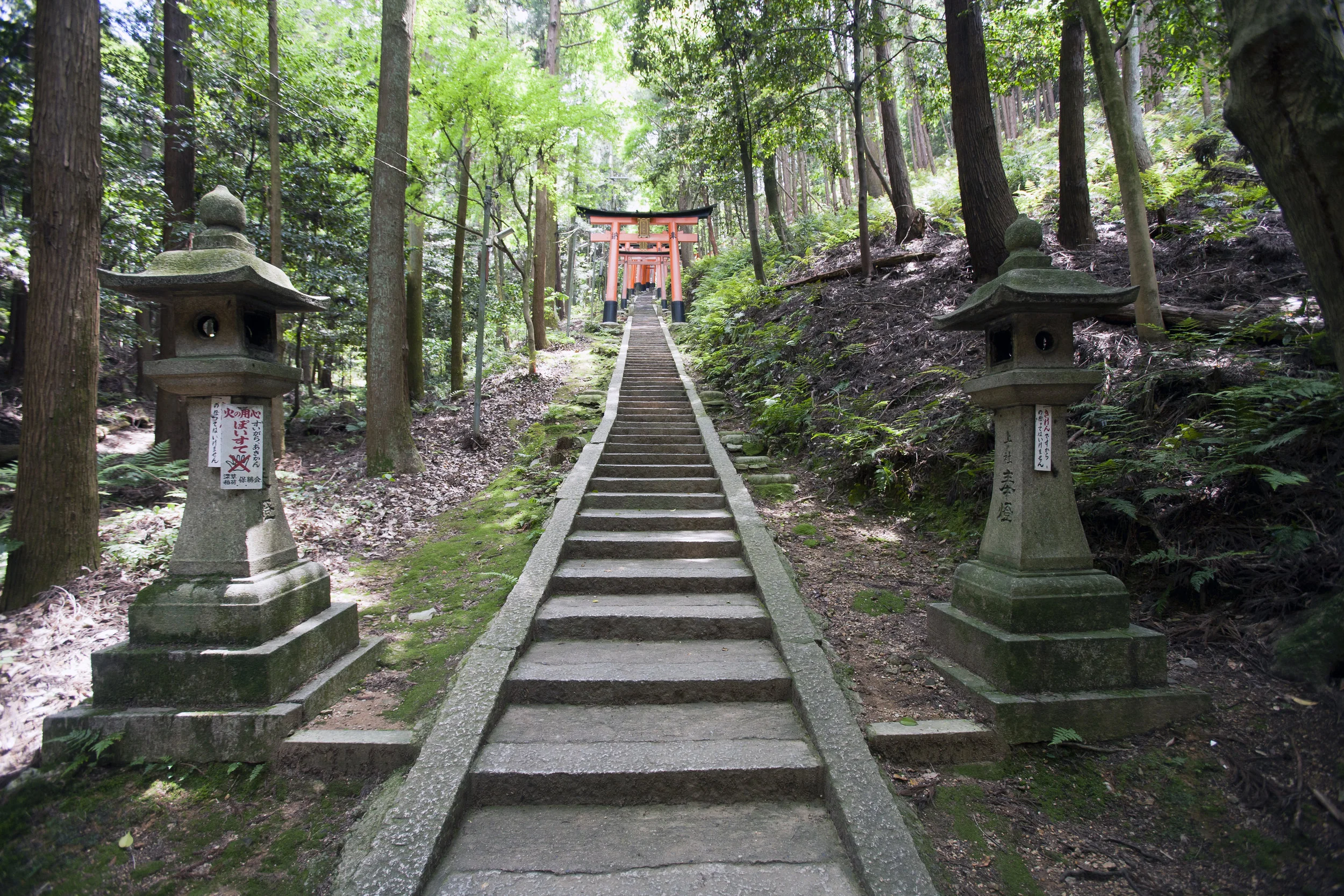 2010 kyoto mountain shrine japan.jpg