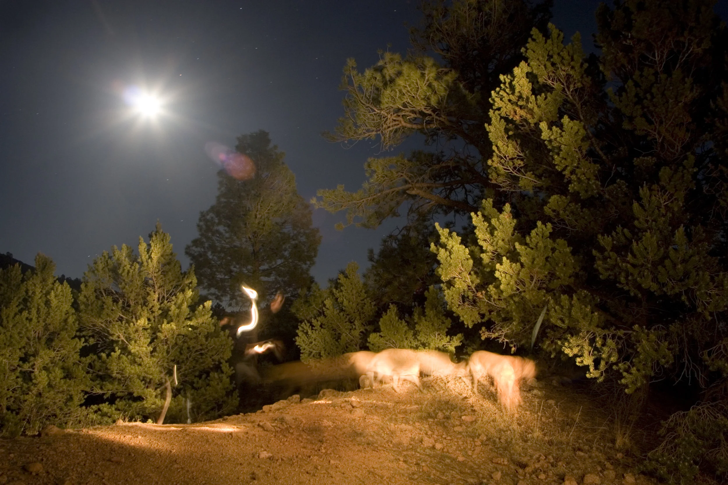 spike moon plus060811.jpg