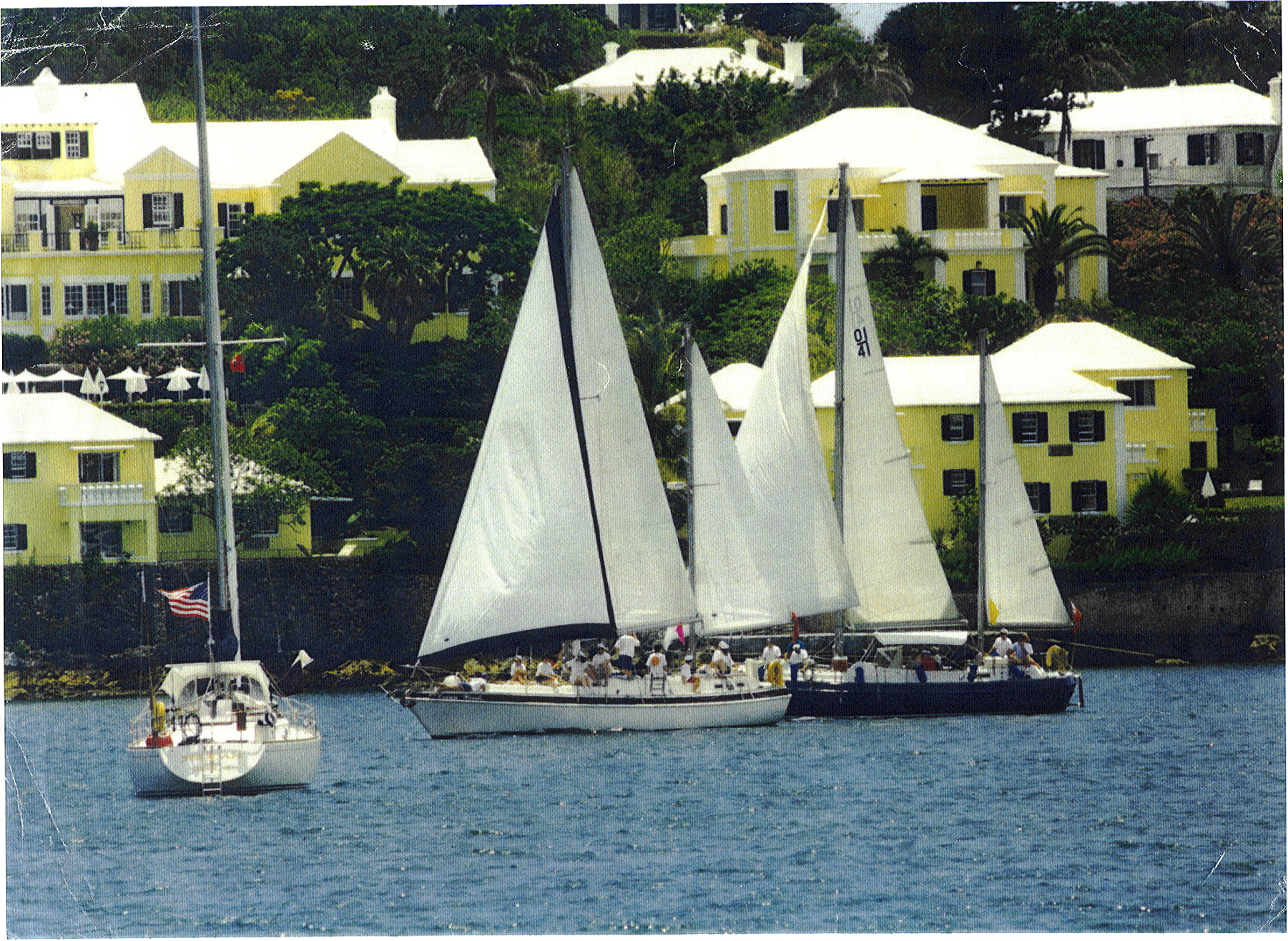 Sailing Regatta.jpg