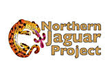 Nothern Jaguar Project.jpg