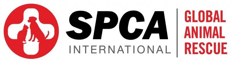 SPCA International.jpg