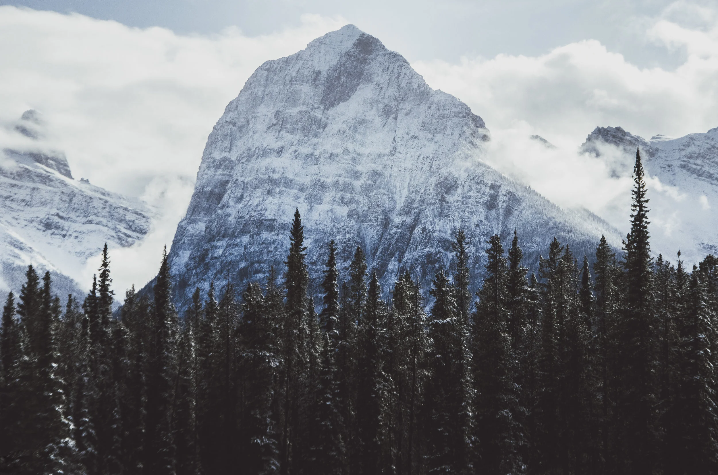 landscape+7+(7+of+1)-1.jpg