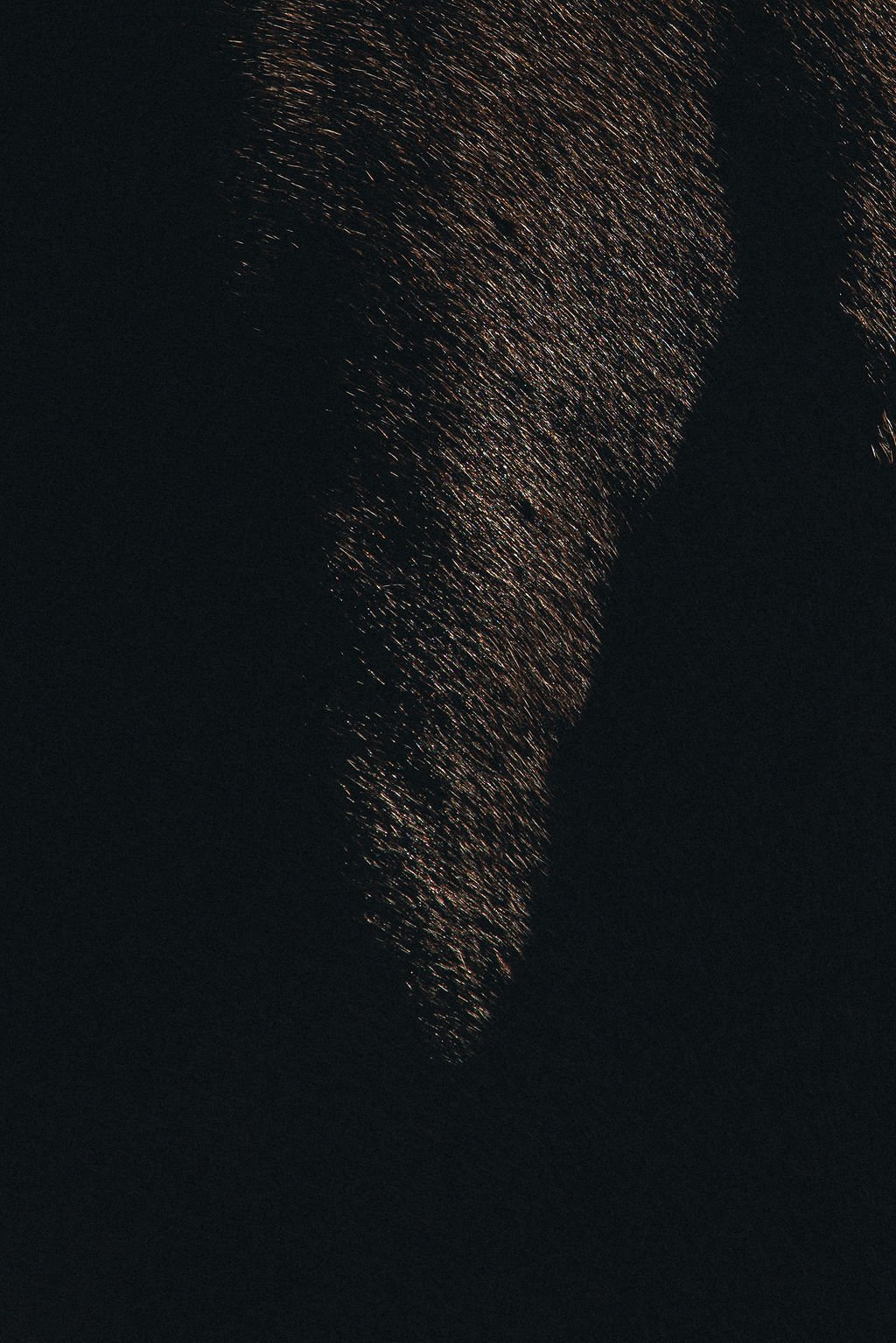 V1_PATERSON_X_FILSON-115.jpg