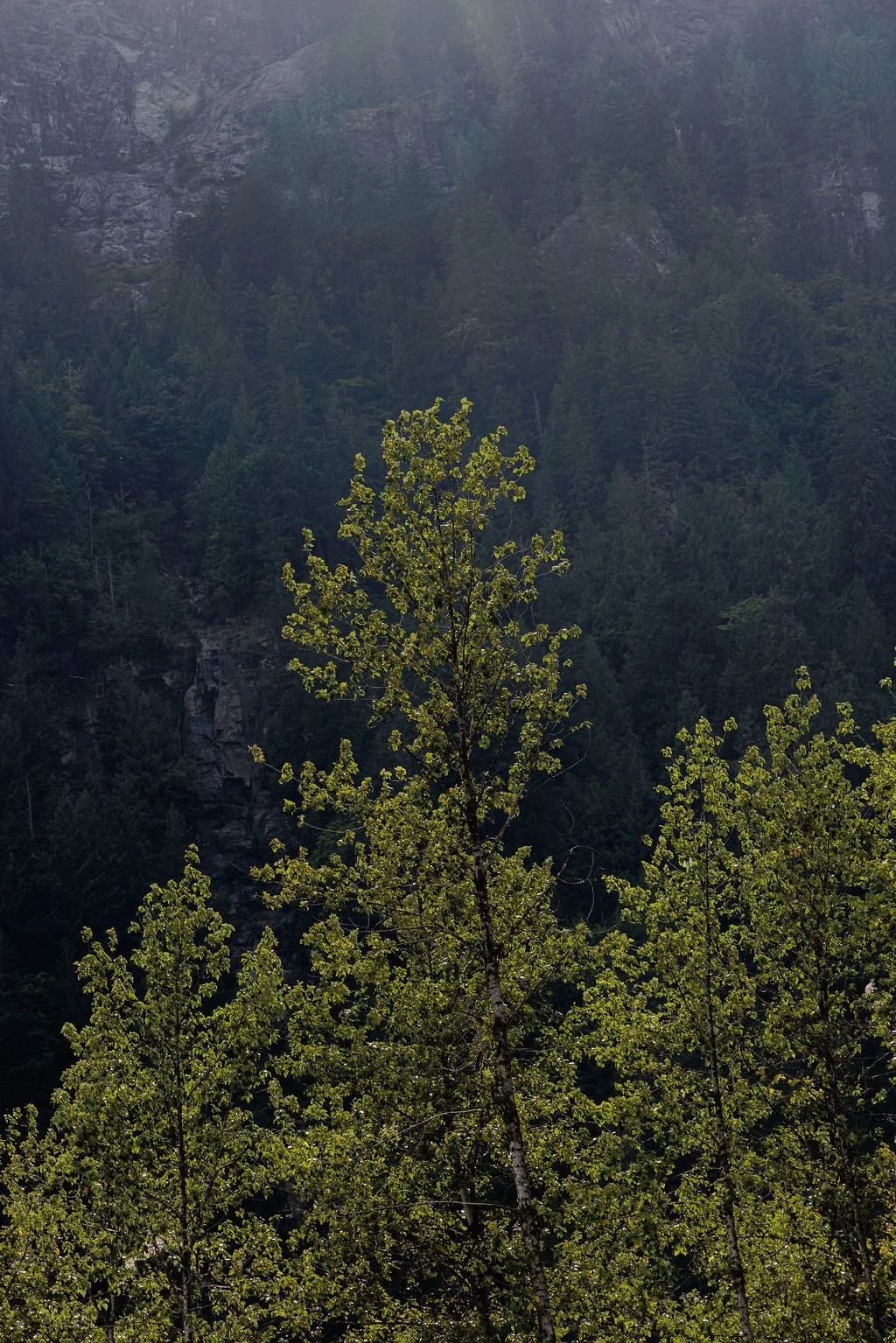 V1_PATERSON_X_FILSON-53.jpg
