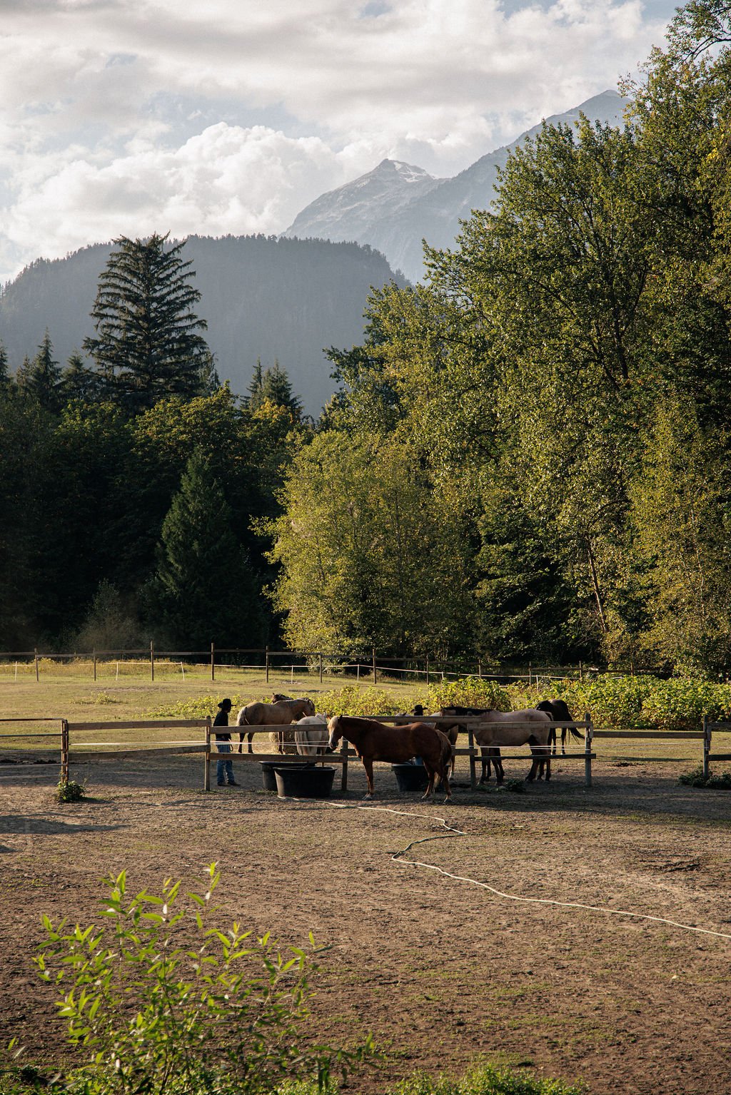 V1_PATERSON_X_FILSON-184.jpg