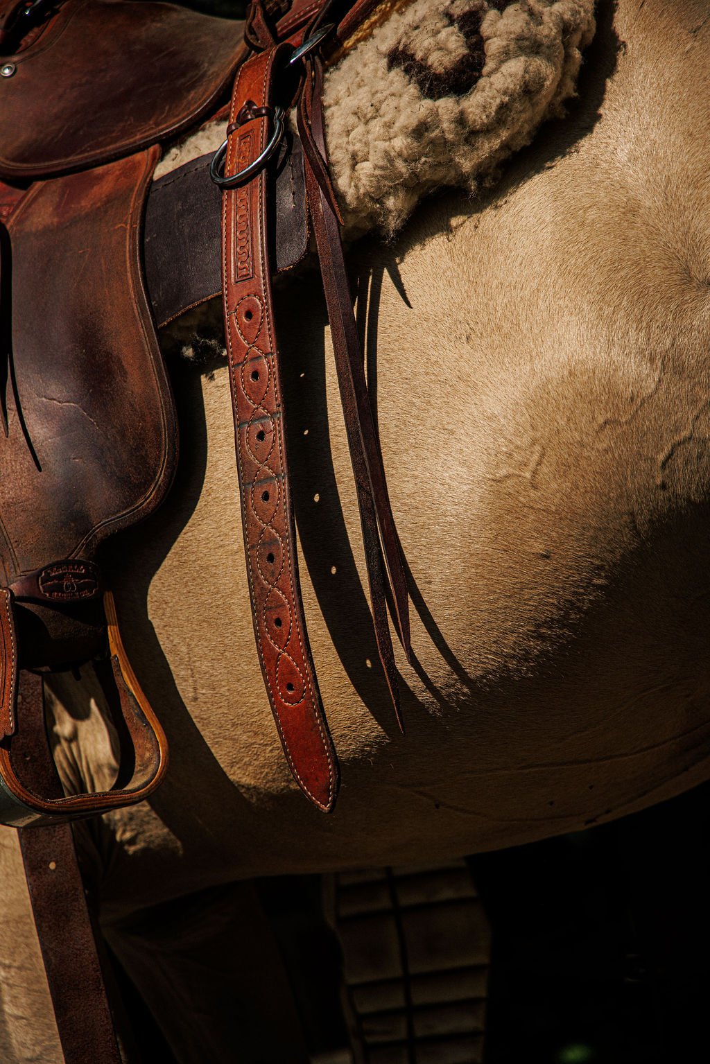 V1_PATERSON_X_FILSON-24.jpg