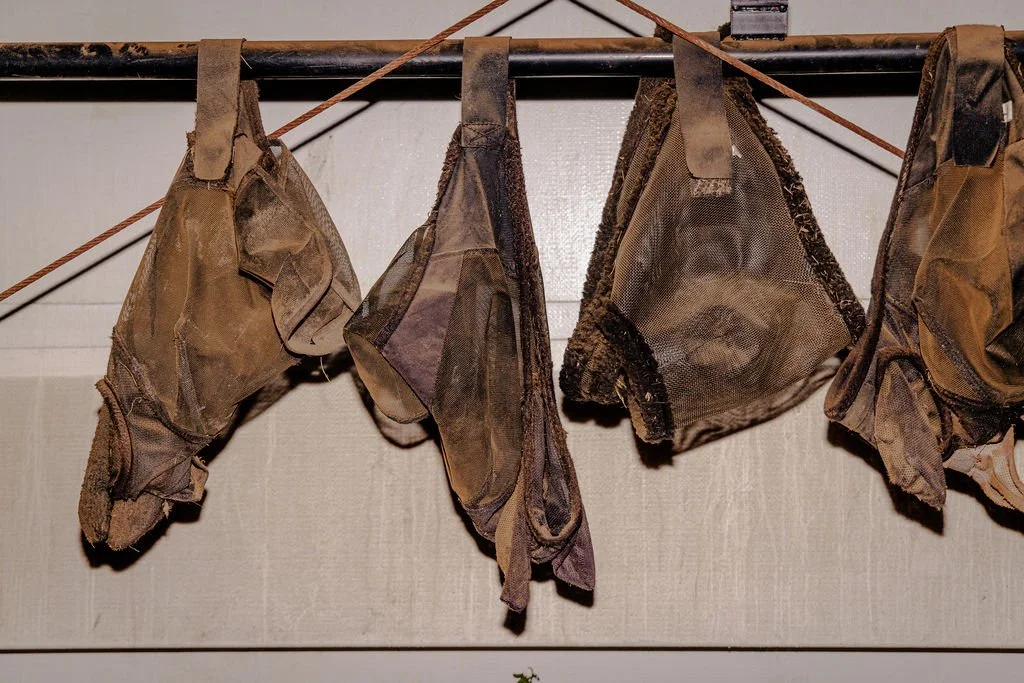 V1_PATERSON_X_FILSON-89.jpg
