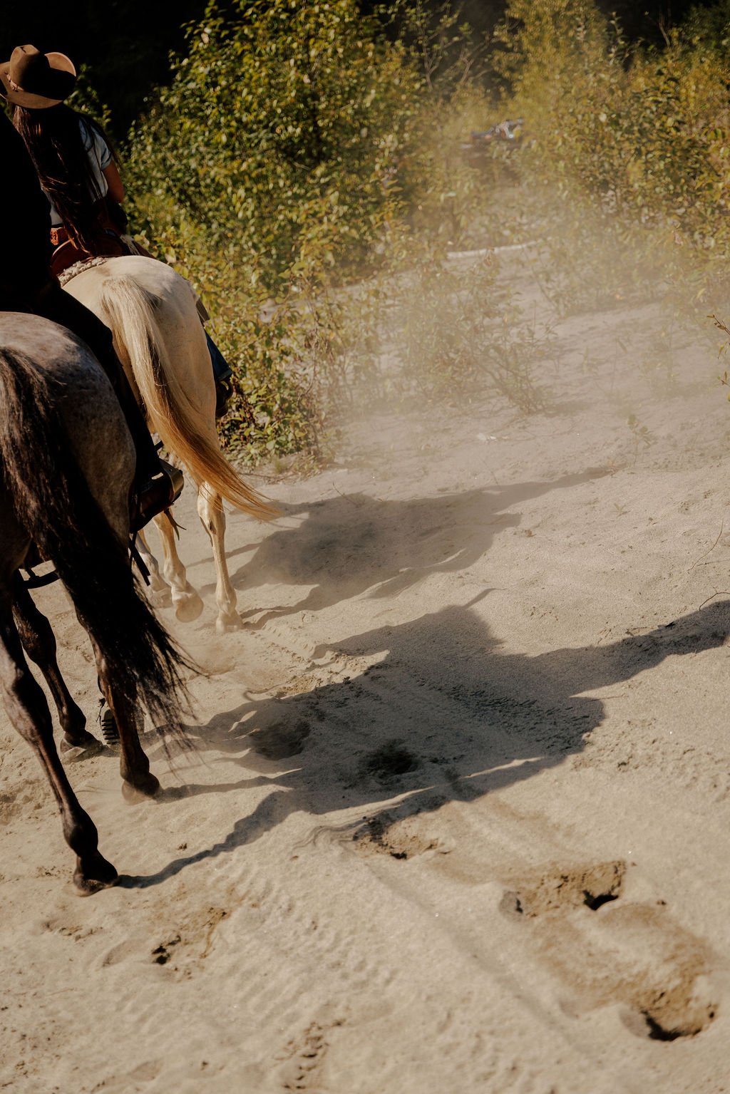 V1_PATERSON_X_FILSON-36.jpg