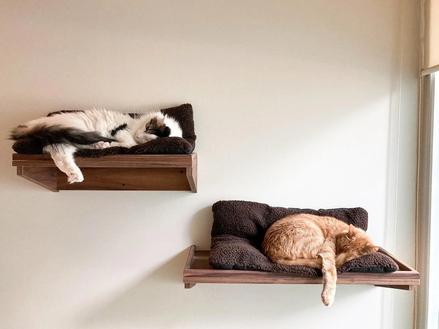 When clients send (visual) customer reviews&hellip; 
#excellenttonapon #catsareclientstoo #woodchipwerks #catsofinstagram