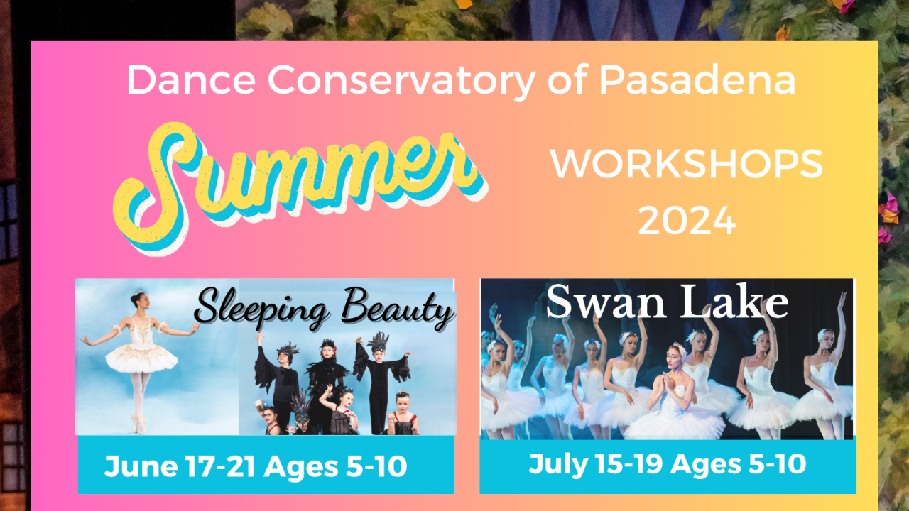 Summer Camp & Workshops