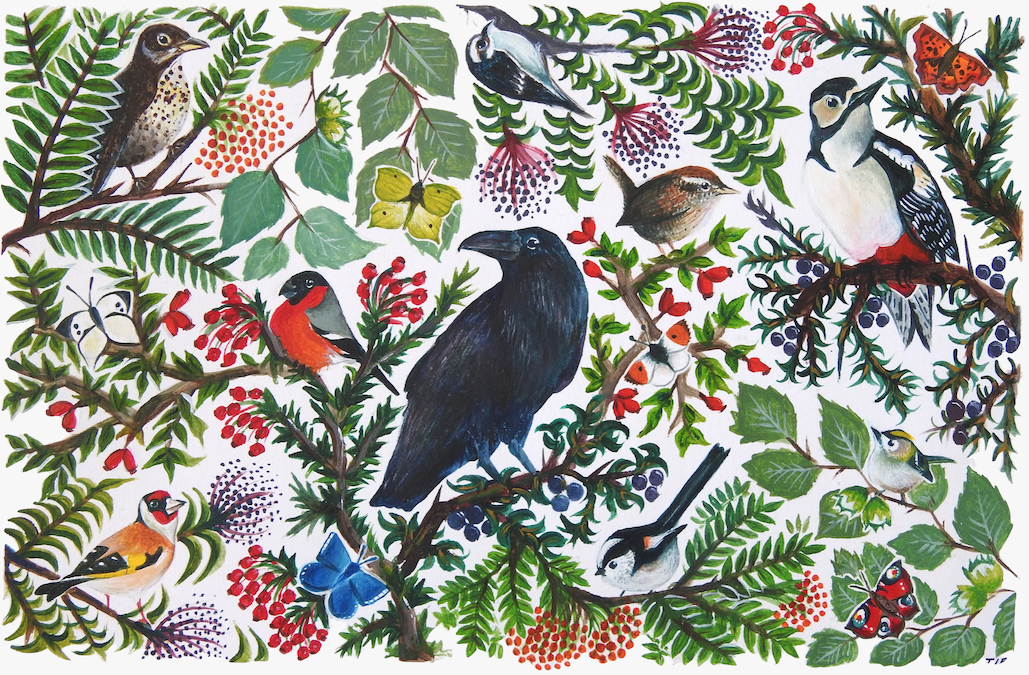 ‘Life in the Hedgerow’, design in acrylic