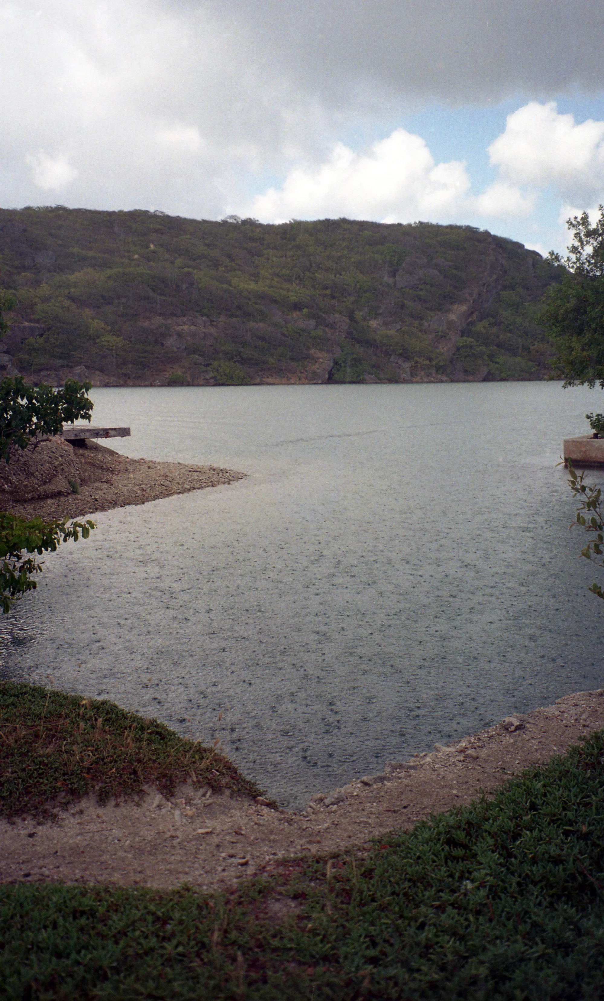 Scan_617.jpg