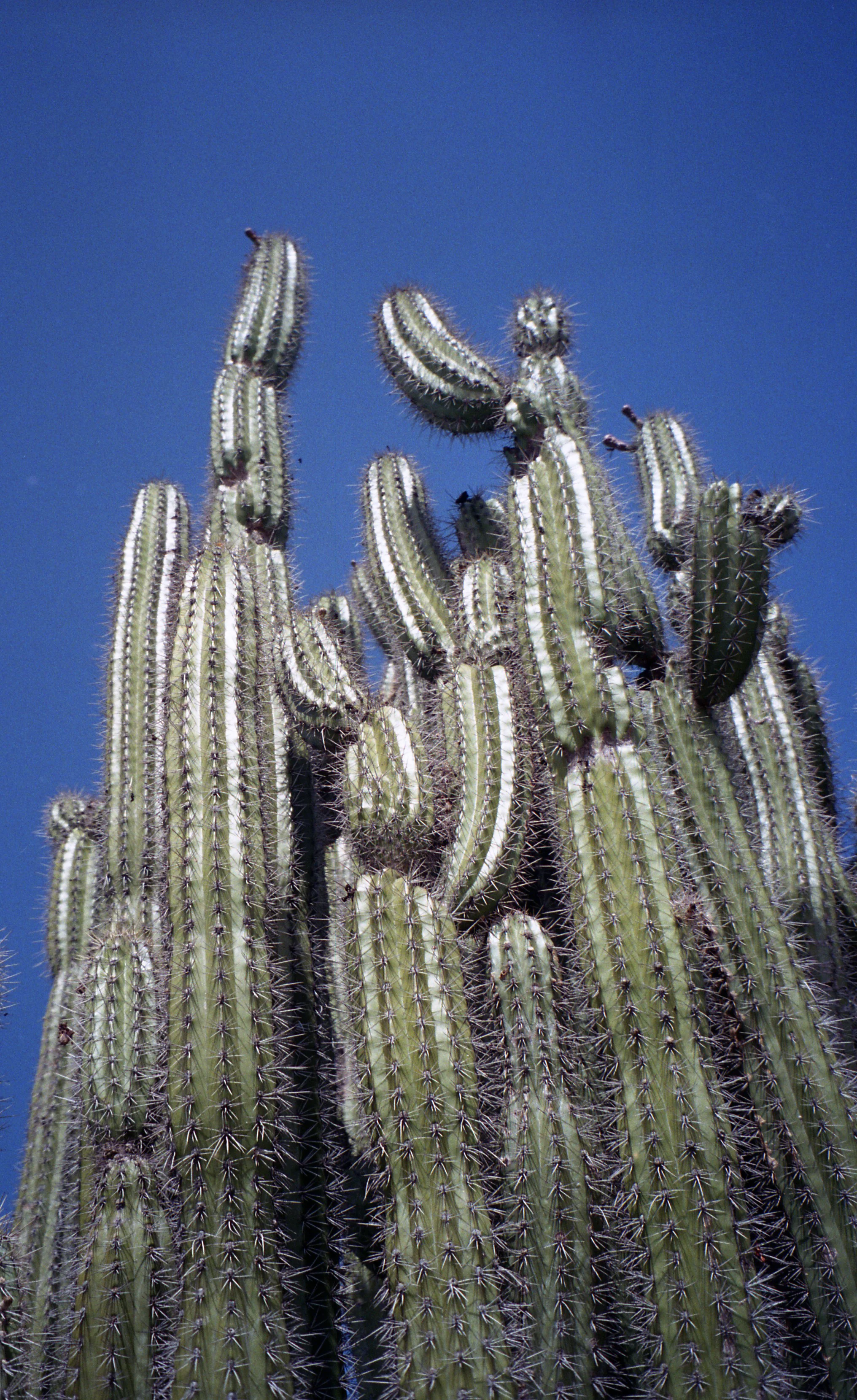 Scan_720.jpg