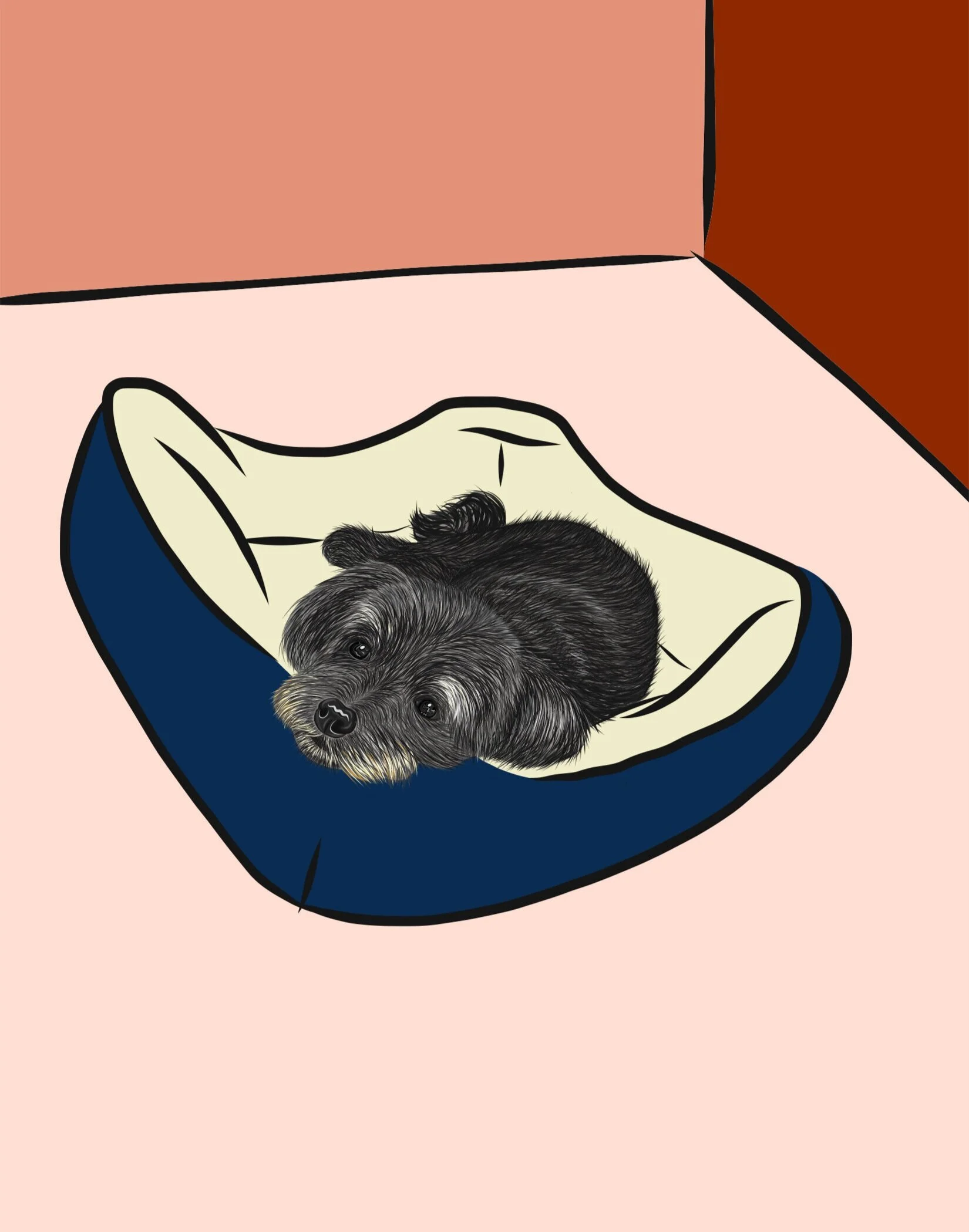 Cocoa.jpg