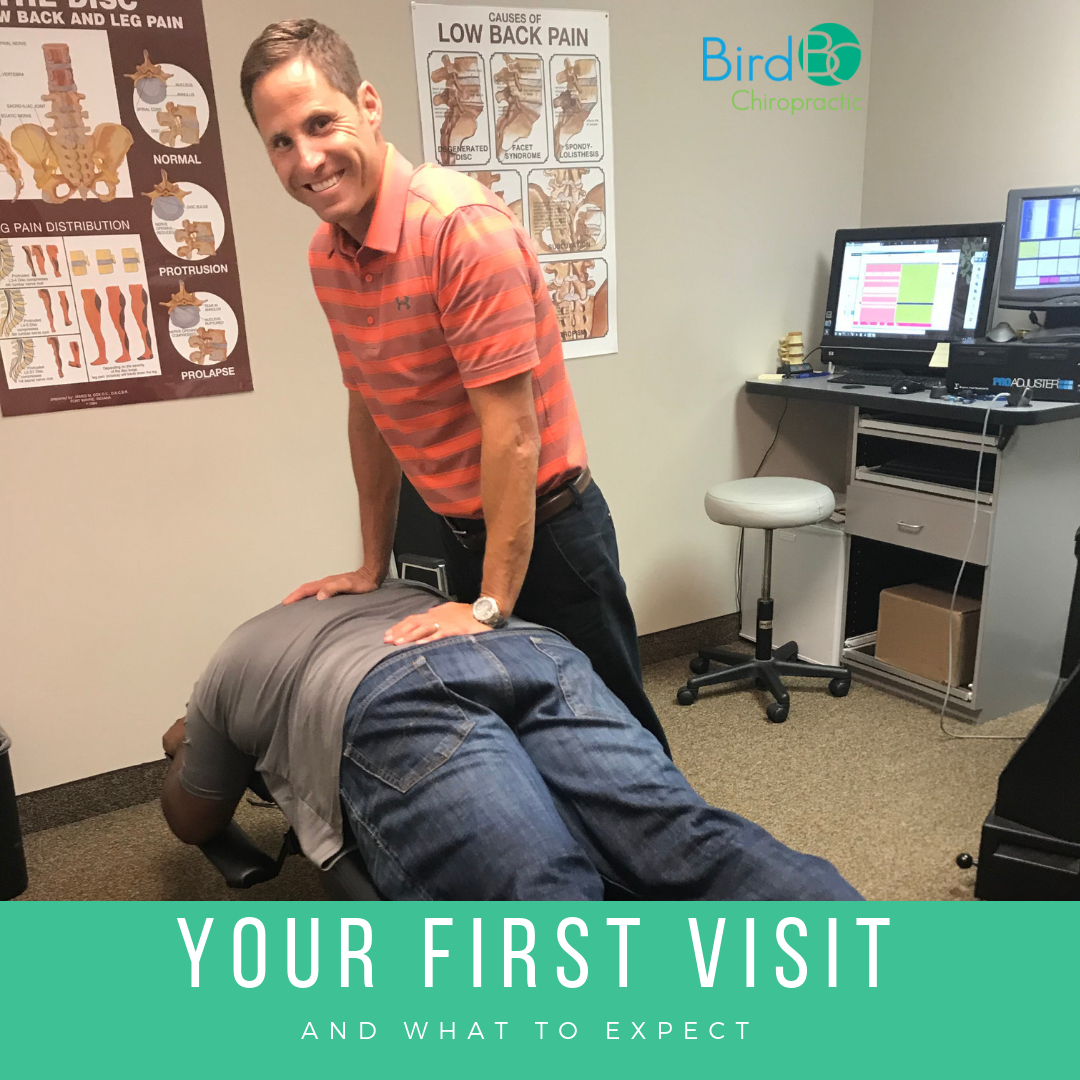 Your First Visit — Bird Chiropractic Best Local Voorhees Township Chiropractor